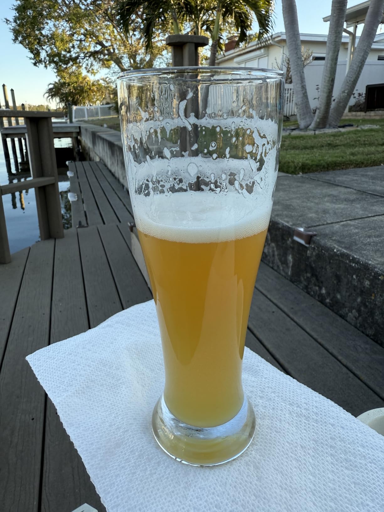 DU VINO USA Made Nucleated Pilsner Glasses - Etched Beer Glass for Better Head Retention, Aroma and Flavor - 16 oz Craft Beer Glasses for Beer Drinking Bliss - 4 Pack customer photo 1