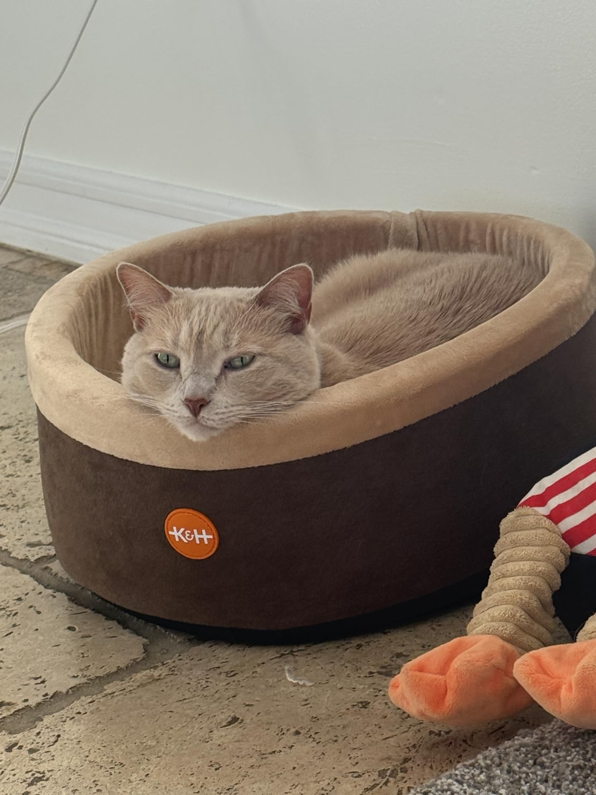 K&H Pet Products Thermo-Kitty Bed Heated Cat Beds for Large Indoor Cats & Dogs, Calming Warming Pillow Pet Bed, Machine Washable, Removable Heater, Safety Listed - Large 20