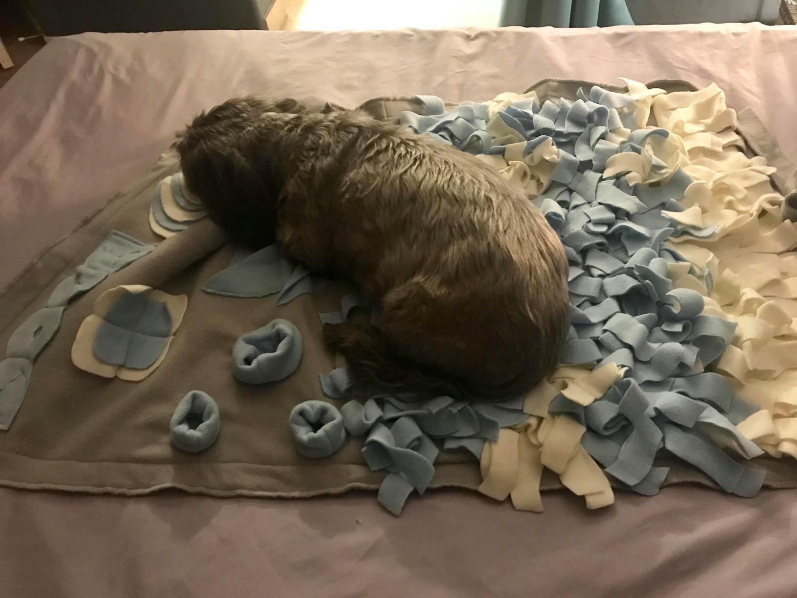 Snuffle Mat for Small Large Dogs Nosework Feeding Mat (23.6