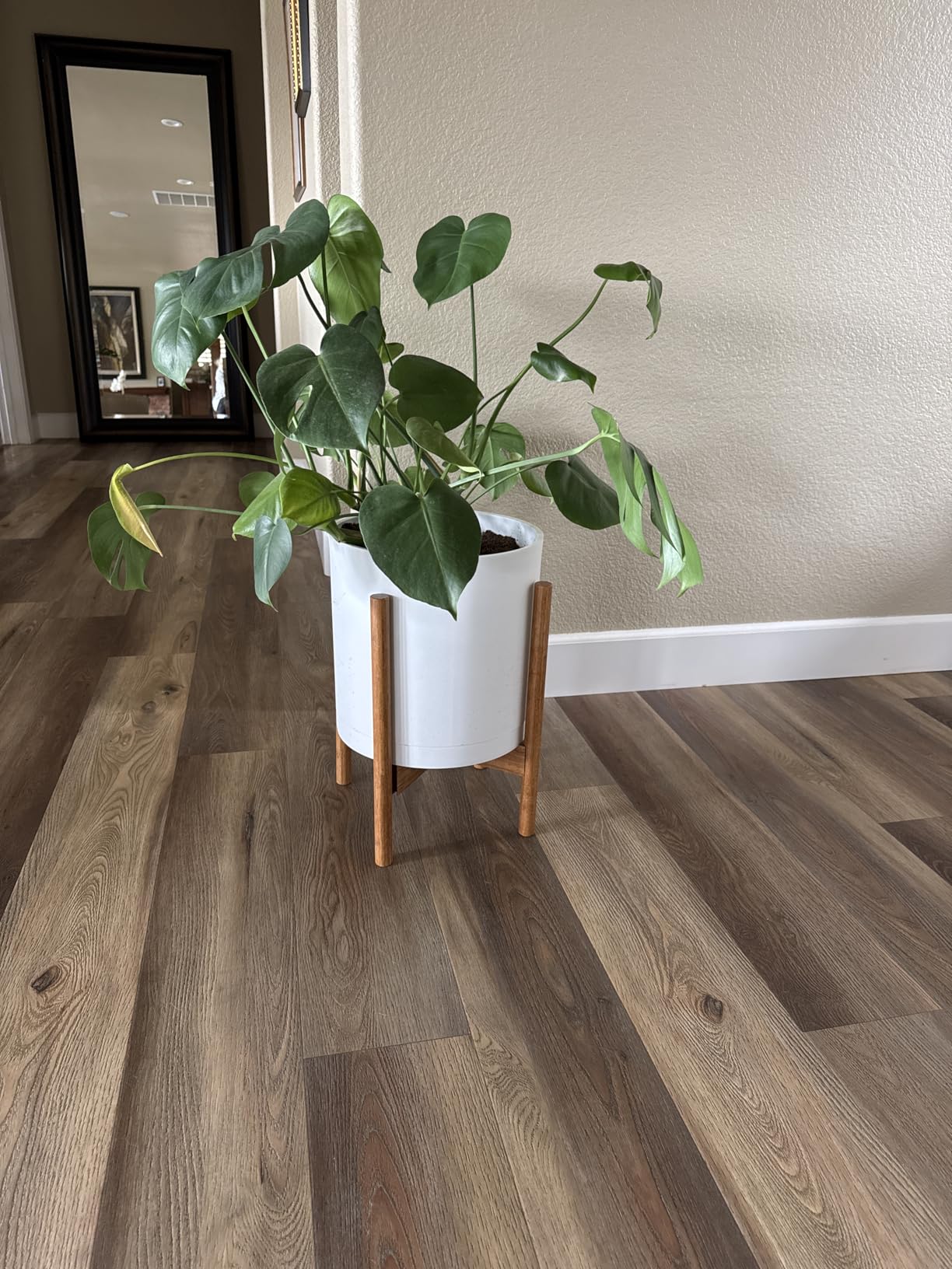 Fox & Fern Adjustable Tall Plant Stand Indoor - 8 to 12 Inch Mid Century Bamboo Plant Stand with Adjustable Width - Plug In Design - Easy to Assemble - Two Heights - For 8, 9, 10, 11 & 12 In Pots customer photo 2