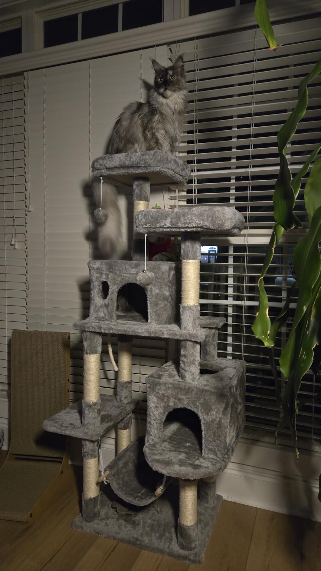 Hey-brother Large Multi-Level Cat Tree Condo Furniture with Sisal-Covered Scratching Posts, 2 Bigger Plush Condos, Perch Hammock for Kittens, Cats and Pets Light Gray MPJ020W customer photo 1