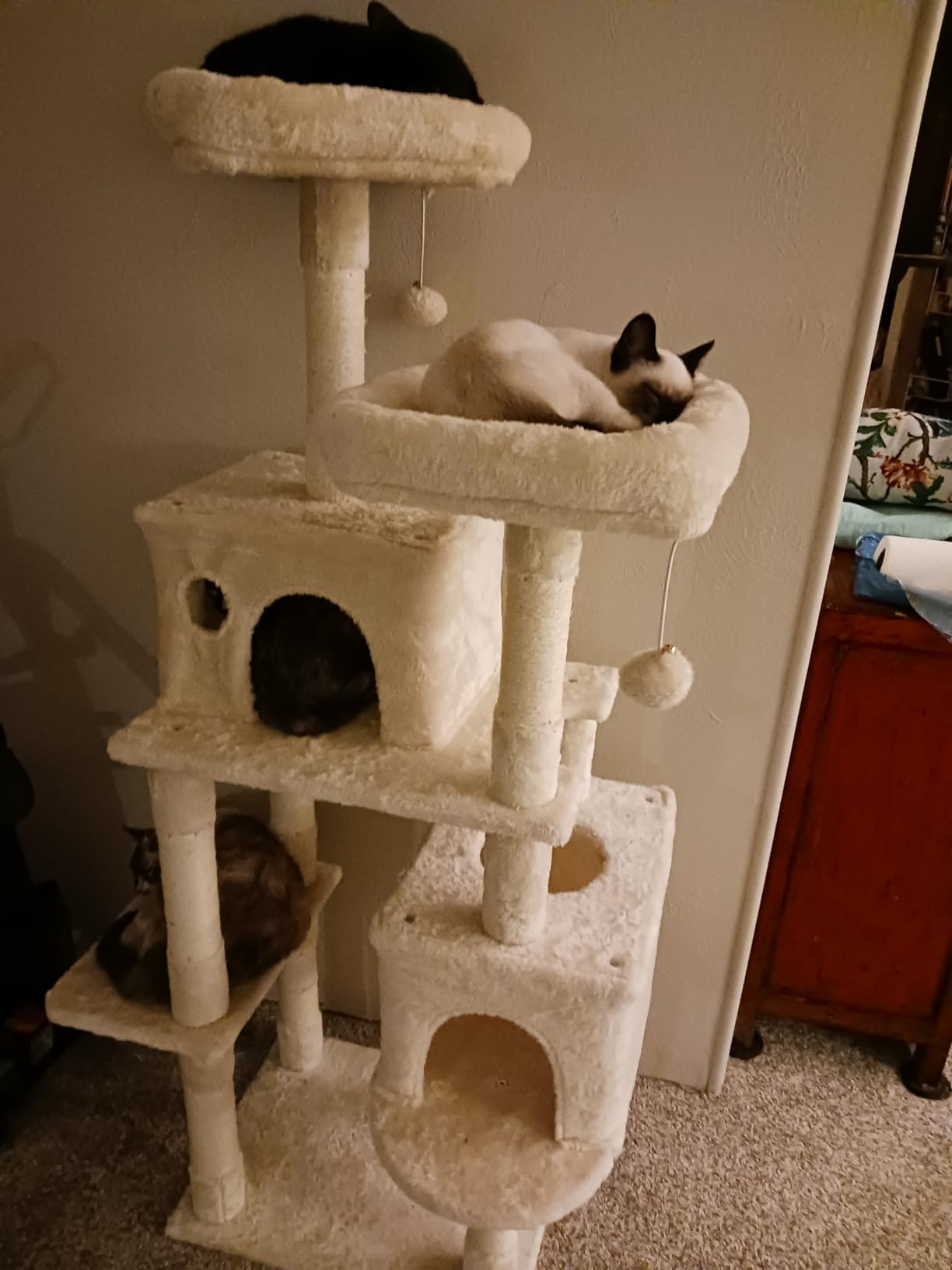 Hey-brother Large Multi-Level Cat Tree Condo Furniture with Sisal-Covered Scratching Posts, 2 Bigger Plush Condos, Perch Hammock for Kittens, Cats and Pets Light Gray MPJ020W customer photo 2