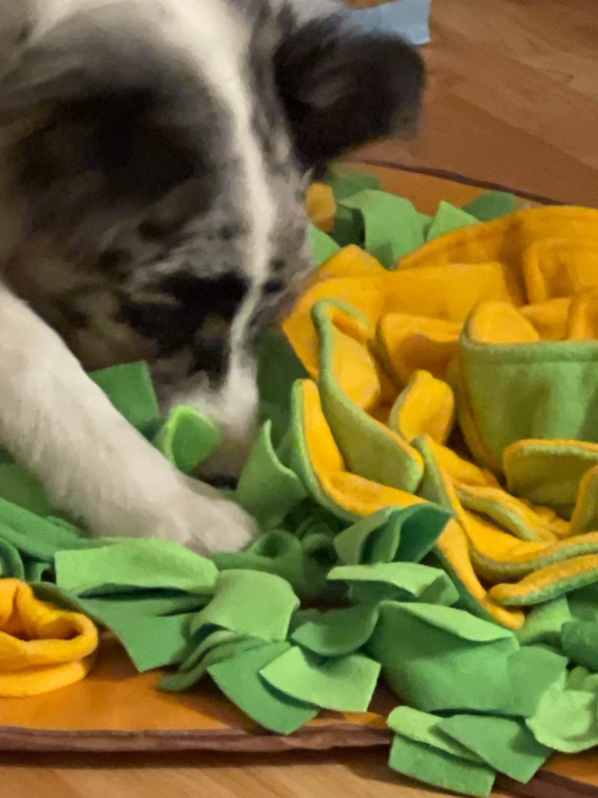 AWOOF Snuffle Mat Pet Dog Feeding Mat, 28''x28'' Interactive Dog Puzzle Toys Encourages Natural Foraging Skills customer photo 1