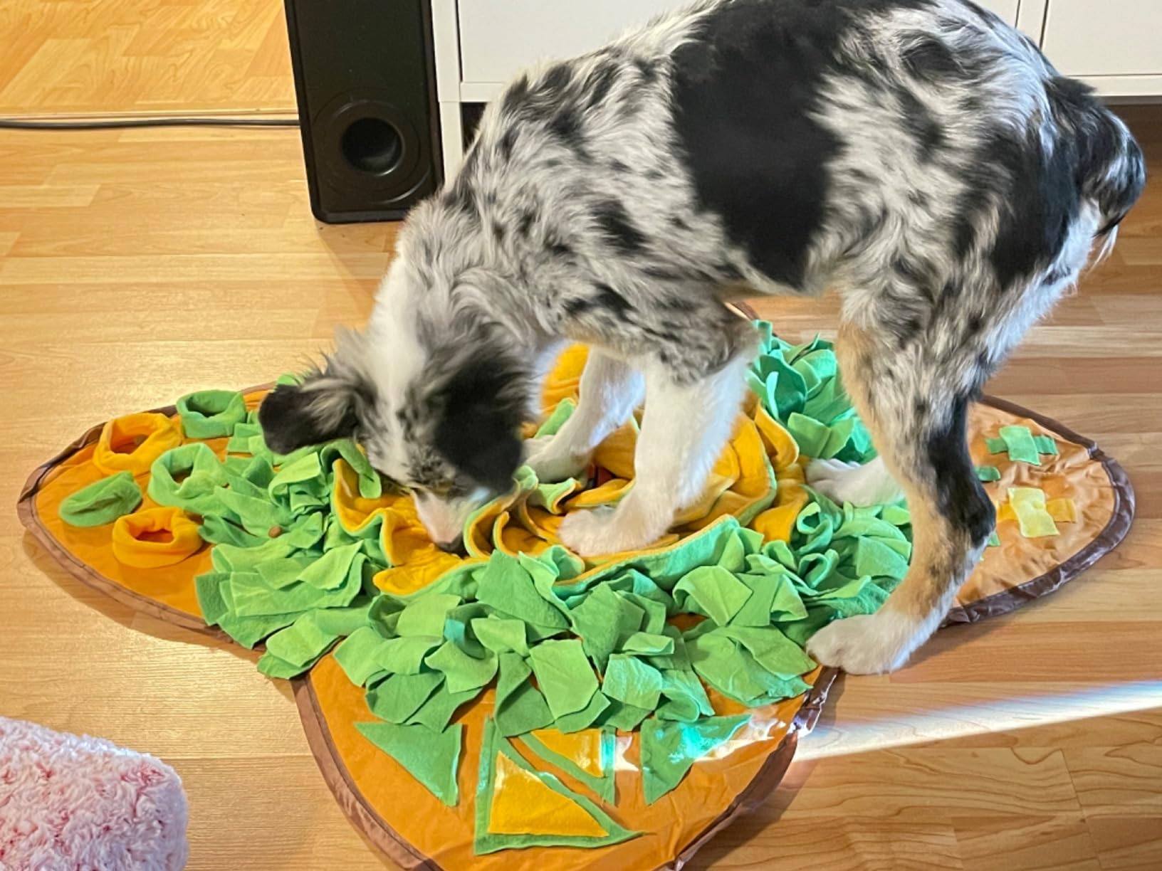 AWOOF Snuffle Mat Pet Dog Feeding Mat, 28''x28'' Interactive Dog Puzzle Toys Encourages Natural Foraging Skills customer photo 2