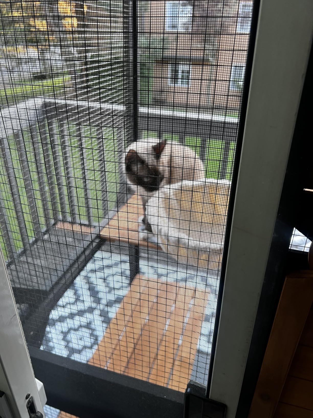 Aivituvin Cat House Outdoor Catio Cat Enclosures on Wheels 70.9