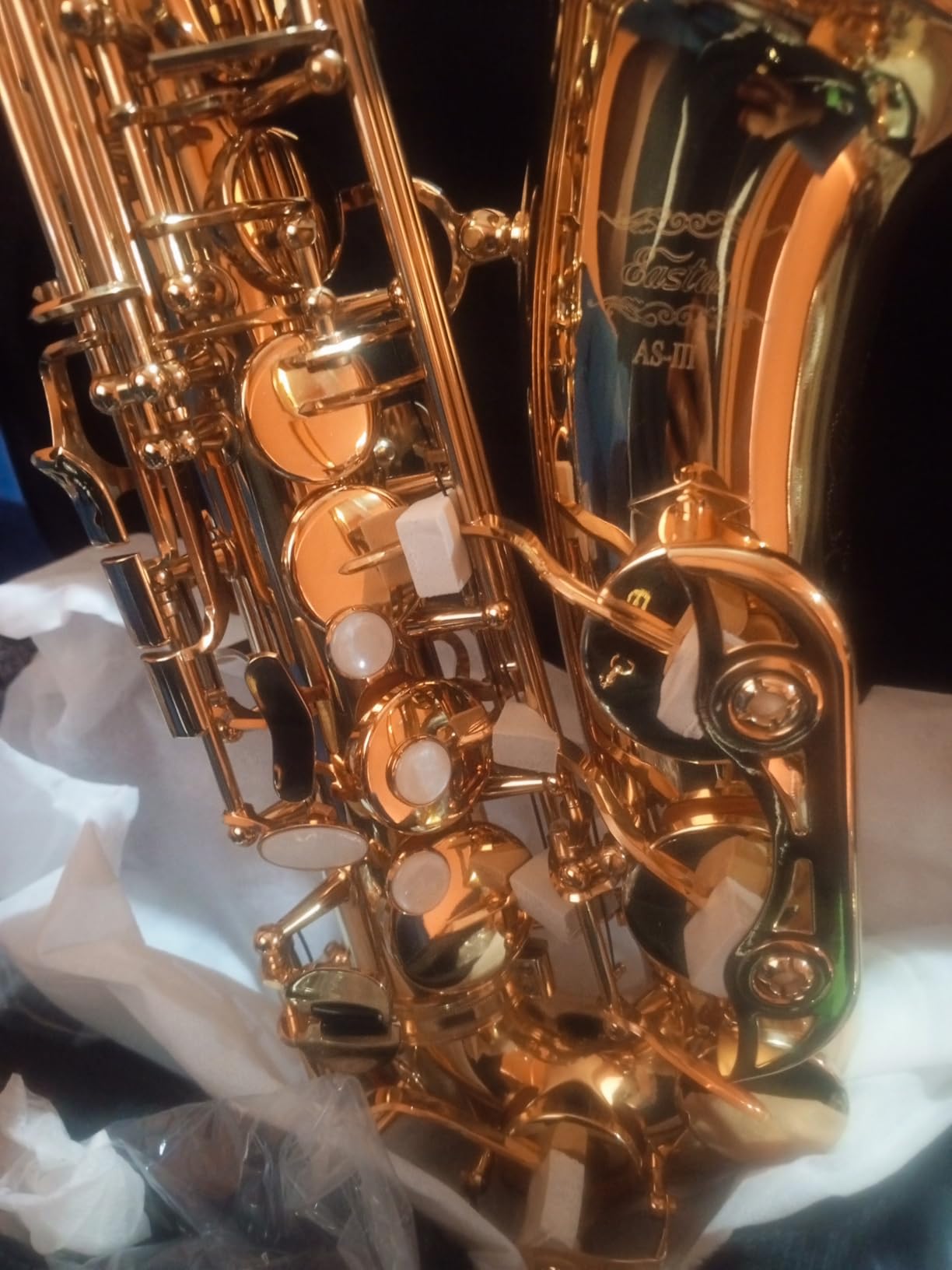 Eastar Tenor Saxophone, B Flat Golden Lacquer Beginner Kit with Cleaning Cloth, Case, Mouthpiece, Neck Strap, Reeds, TS-II customer photo 1