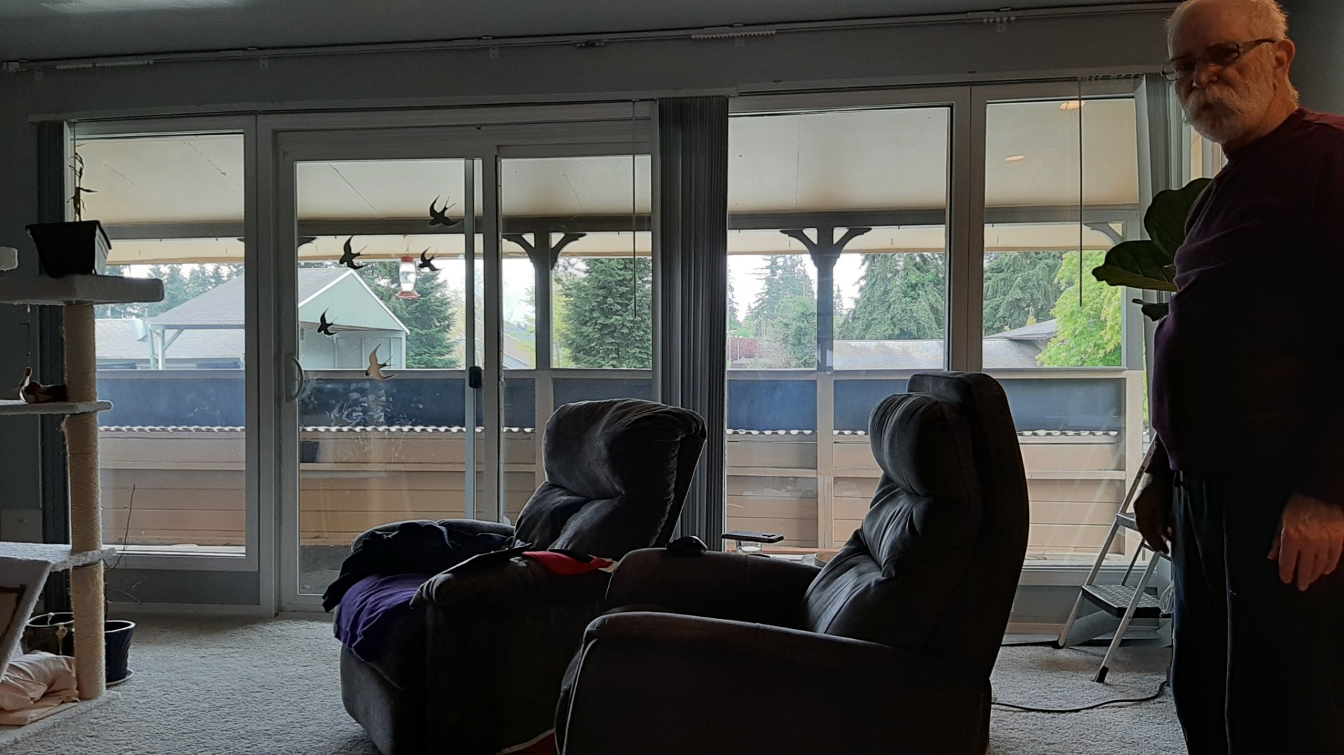 Quoya QL500 Smart Curtains System, Electric Curtain Track with Automated Rail【Motorized and Adjustable Tracks/Rod/Pole (up to 3.2 metres / 125 inches)】【Motor compatible with Alexa】 customer photo 2