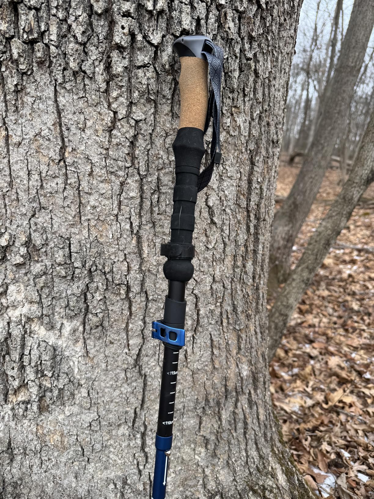 Trekology Trek-Z Cork Grip Trekking Poles - Lightweight Folding Hiking Poles, Adjustable Height, Compact Travel Design, Aircraft-Grade Aluminum Walking Sticks customer photo 2