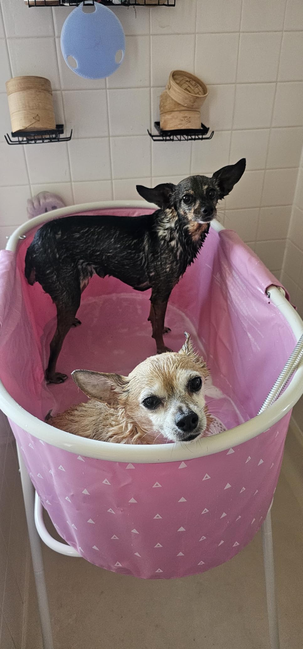 Furesh Little Dipper Dog Bath Tub and Wash Station for Bathing Shower and Grooming, Elevated Foldable and Portable, Indoor and Outdoor, for Small and Medium Size Dogs, Cats and Other Pet (Gray) customer photo 1