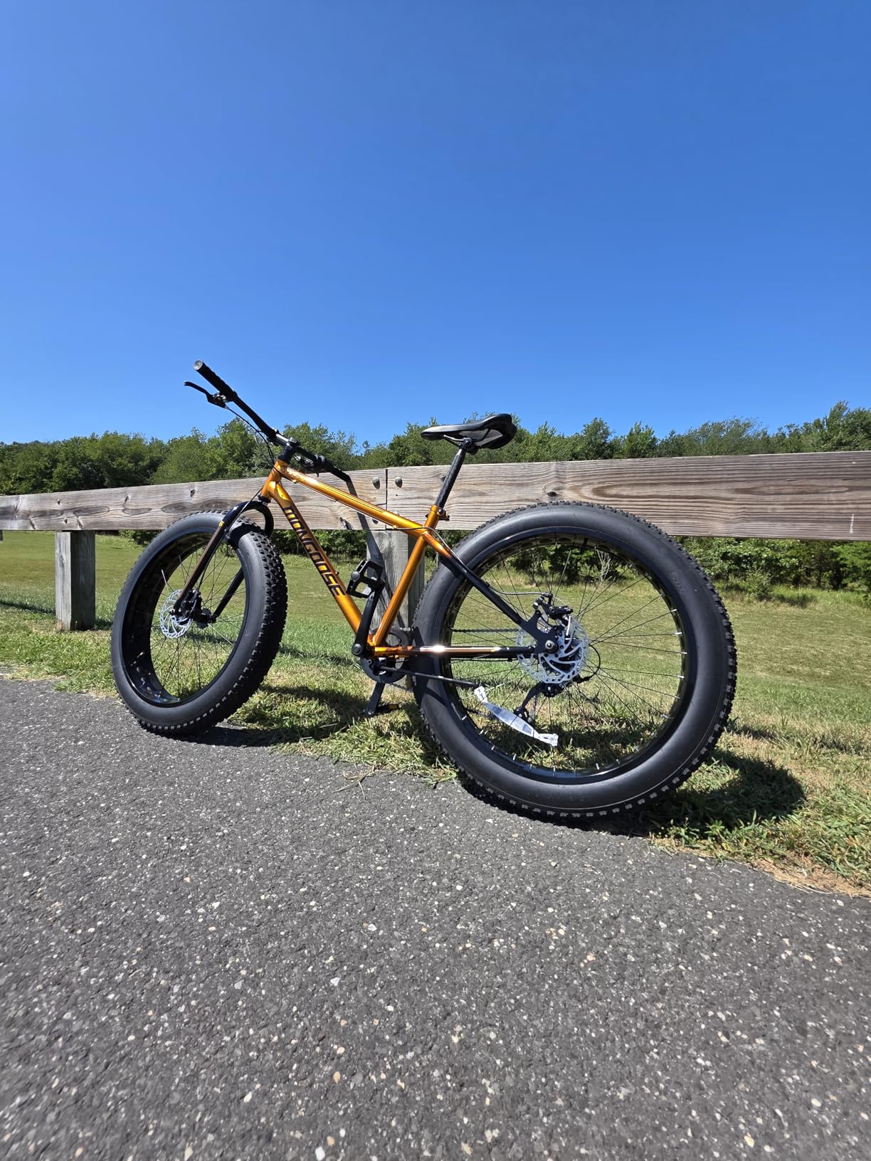 Mongoose Argus Trail Fat Tire Mountain Bike, 26 Inch, 7 or 16 Speed, Aluminum Frame customer photo 2