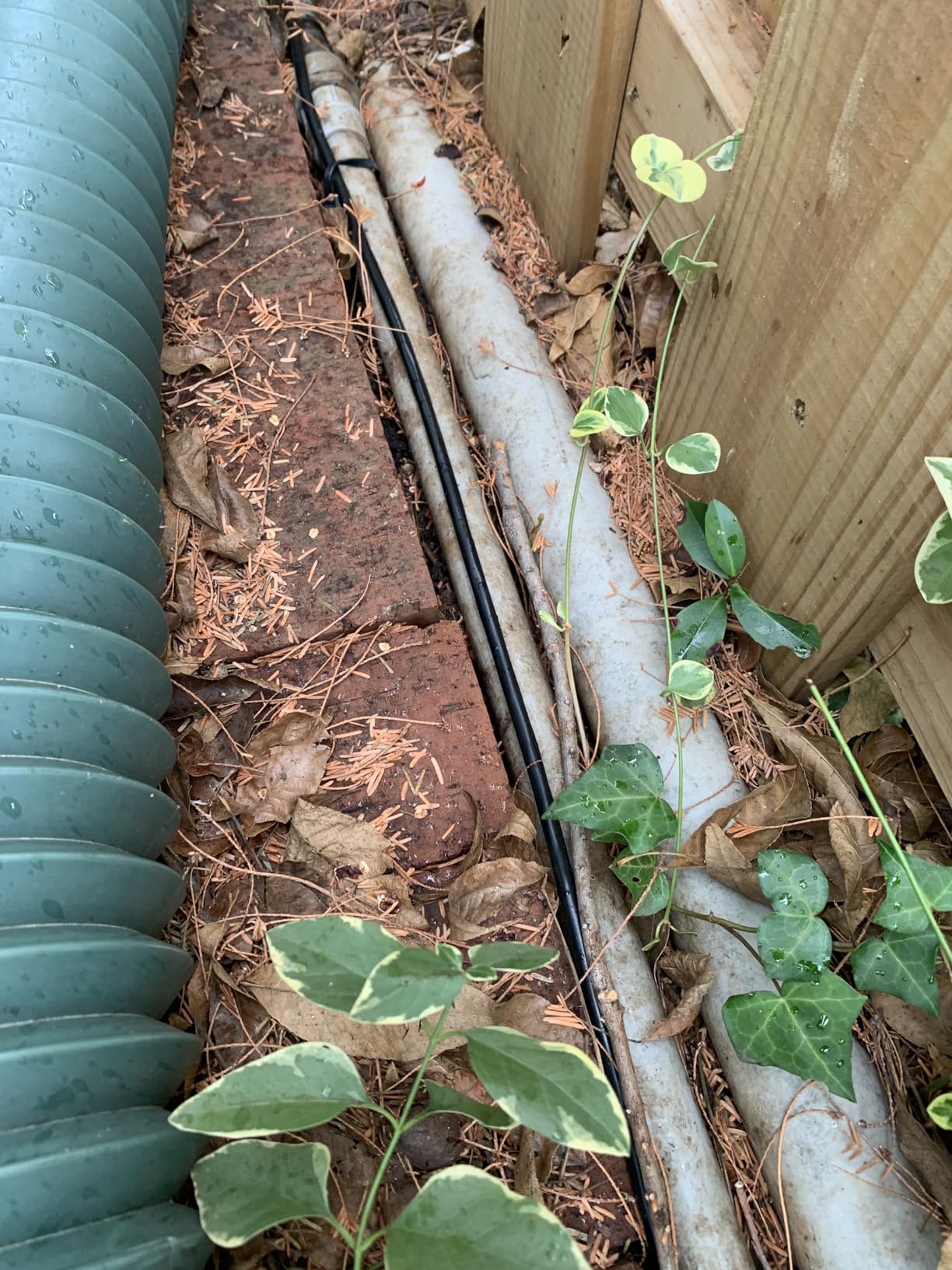 GEARit Cat6 Outdoor Ethernet Cable (50ft) 23AWG Pure Copper, FTP, LLDPE, Waterproof, Direct Burial, In-Ground, UV Resistant, POE, Network, LAN, Internet, Cat 6, Cat6 Cable - 50 Feet customer photo 2