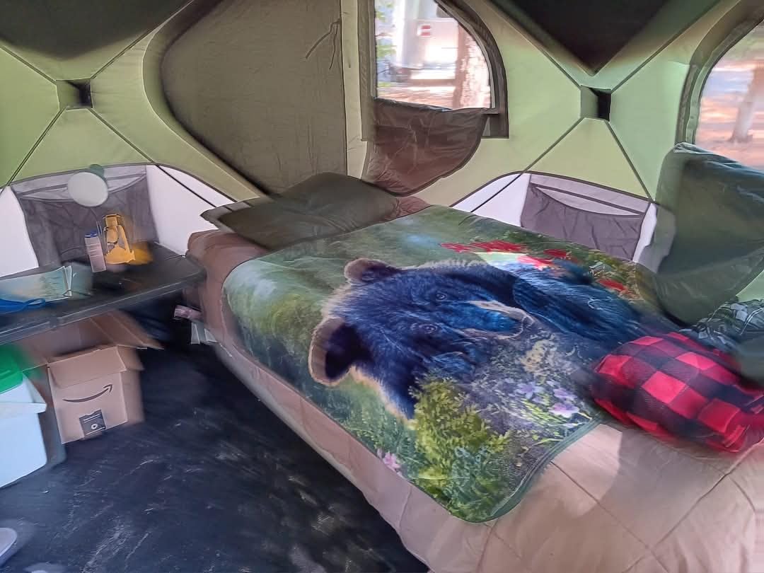 Gazelle T4 Hub Tent, Easy 90 Second Set-Up, Waterproof, UV Resistant, Removable Floor, Ample Storage Options, 4-Person, Alpine Green customer photo 2