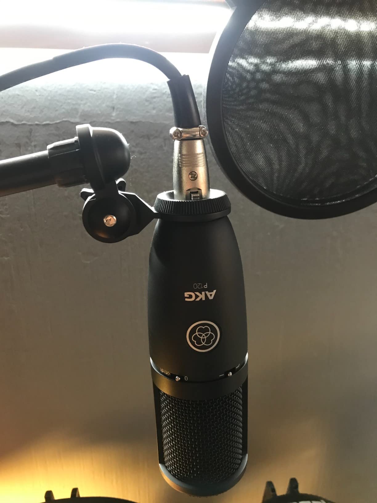AKG P120 Cardioid Condenser Microphone (Black) with XLR-XLR Cable, Pop Filter & 10-Pack Straps Bundle customer photo 1