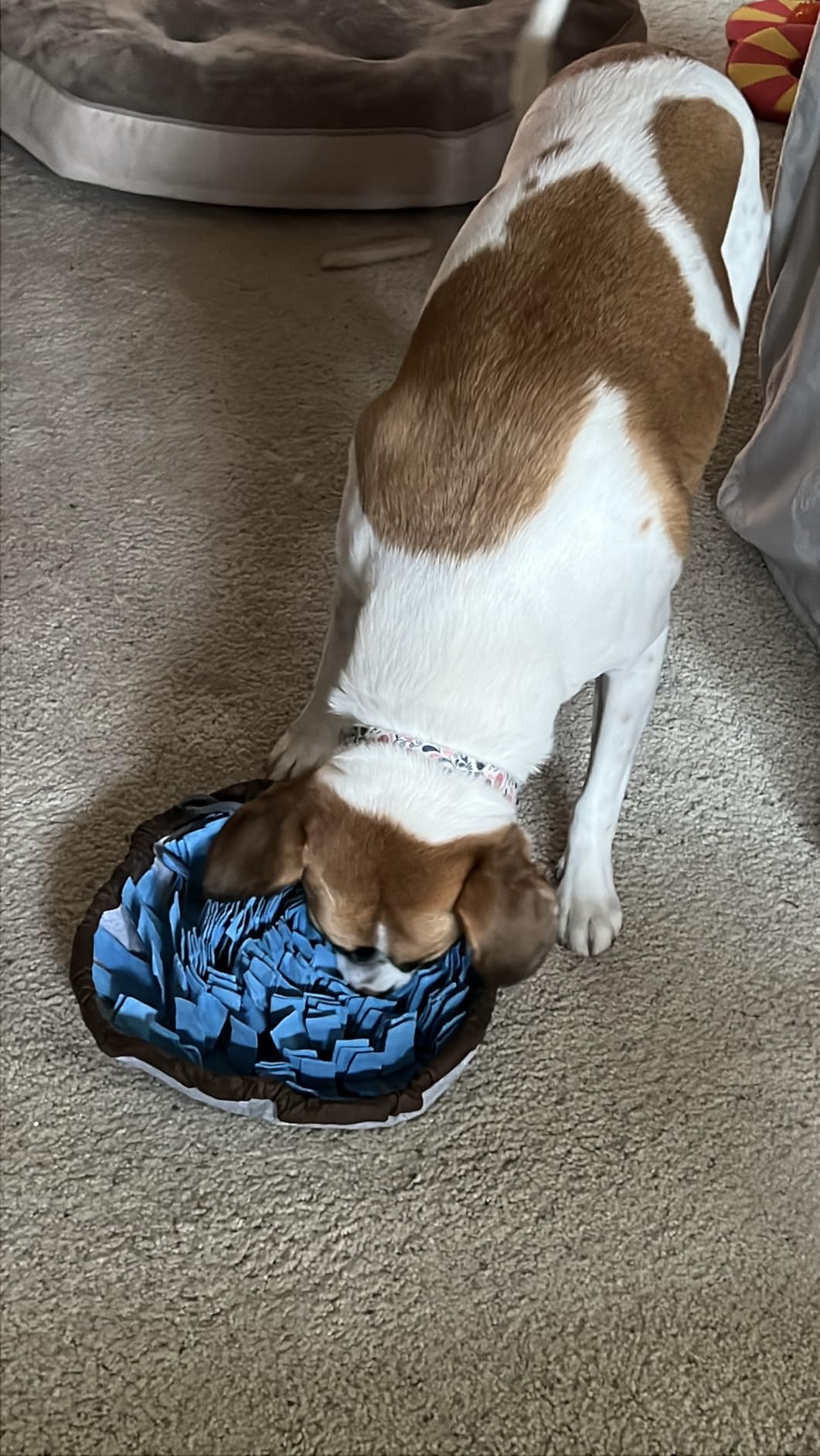 PET ARENA Snuffle Mat for Dogs - Adjustable Interactive Puzzle Toy for Large & Small Breed Slow Feeder for Mental Stimulation & Stress Relief Encourages Natural Foraging Ideal for Indoor & Outdoor Use customer photo 2