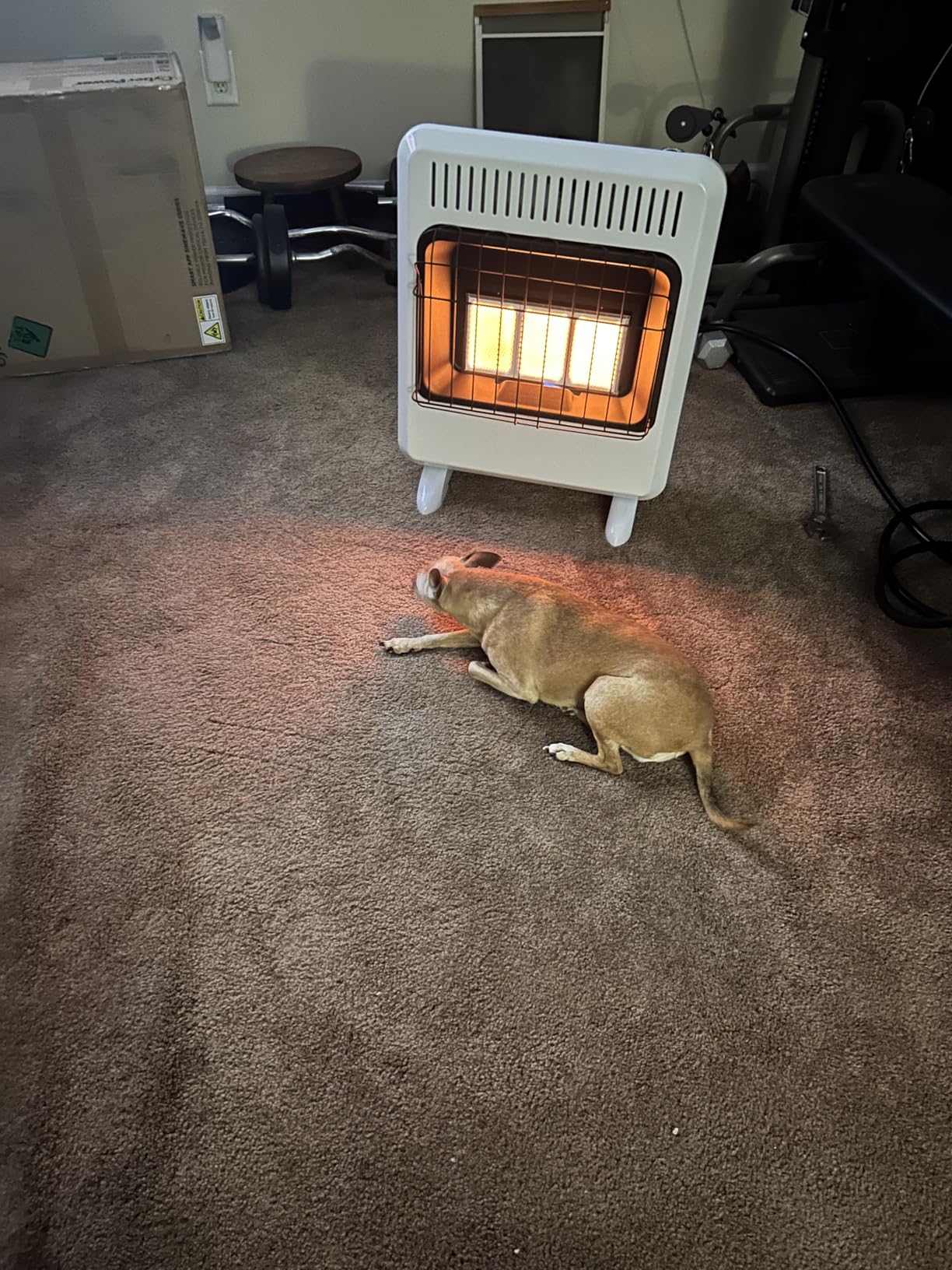 Mr. Heater 20,000 BTU Vent Free Radiant Dual Fuel Heater customer photo 1
