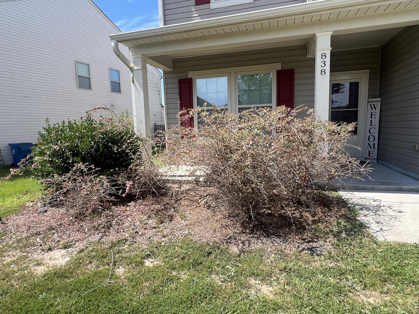 MZK 22'' Cordless Hedge Trimmer, 20V Bush Trimmer, Handheld Hedge Cutter, Grass Shrub Trimmer, Lightweight & Compact Trimmer (Battery & Charger Included) customer photo 2