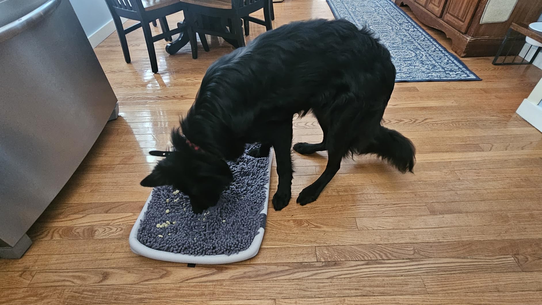Rundik Snuffle Mat for Dogs, 17'' x 21'' Dog Sniffing Interactive Feeding Game Boredom, Puzzle Toys Encourages Natural Foraging Skills and Stress Relief Small/Medium/Large Dogs customer photo 2