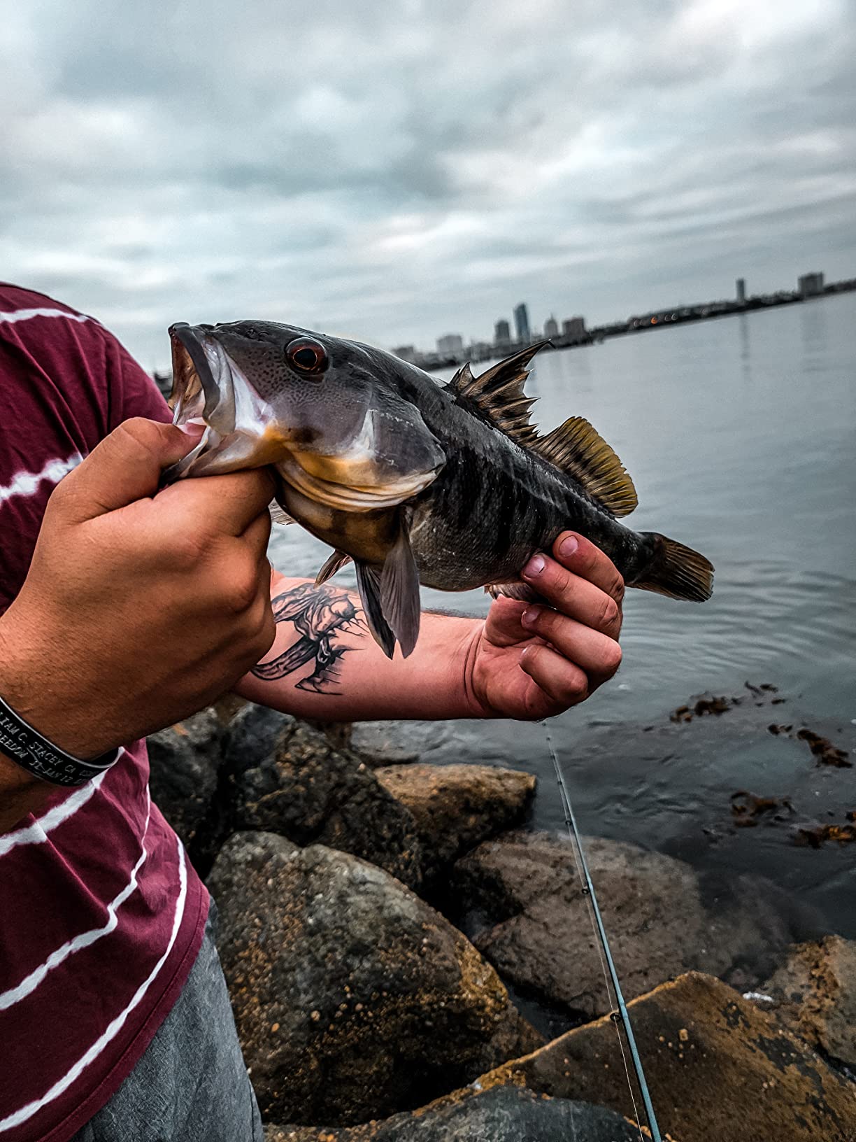 St. Croix Rods Mojo Inshore Casting Rod, JIC, Premium Quality, Durably Sensitive, High Performing Casting Rod customer photo 2
