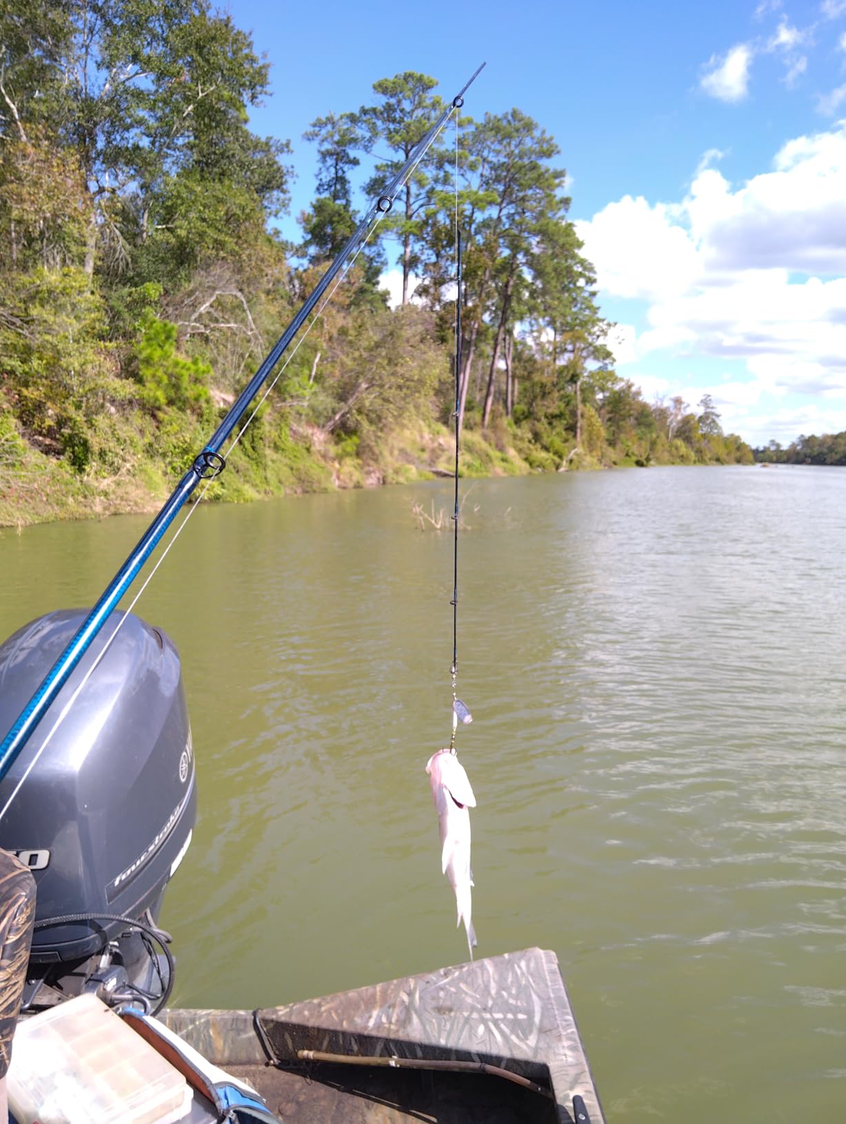 St. Croix Rods Triumph Casting Rod, TCR, Durably Sensitive with Impressive Power, High Performing Casting Rod customer photo 1