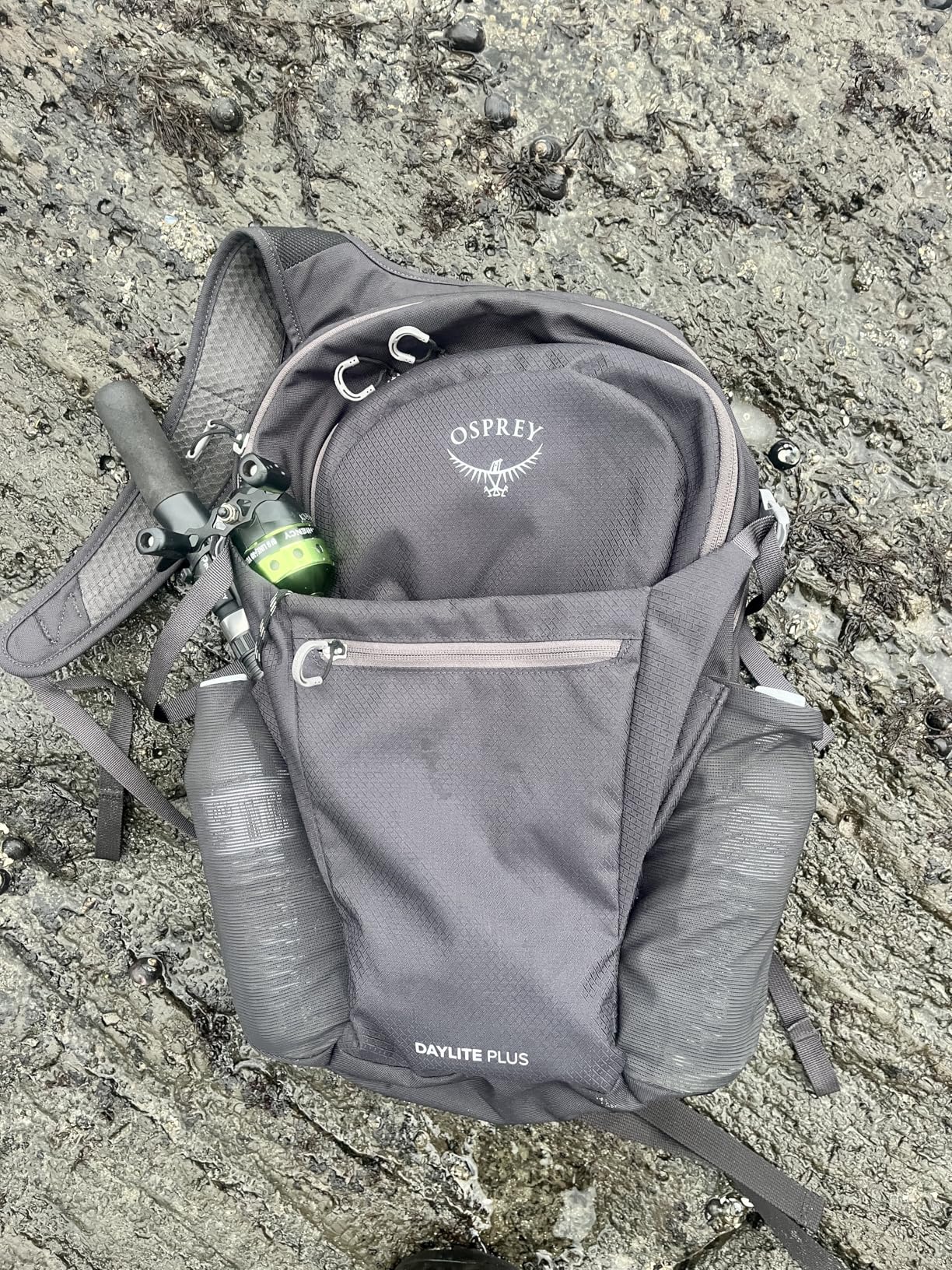 Osprey Daylite Plus Commuter Backpack - Lightweight, Everyday Pack with Laptop Sleeve customer photo 1