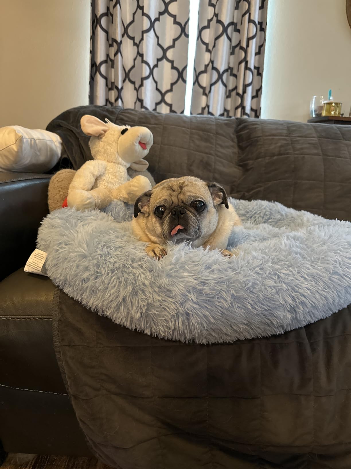 WESTERN HOME WH Calming Dog Bed & Cat Bed, Anti-Anxiety Donut Dog Cuddler Bed, Warming Cozy Soft Dog Round Bed, Fluffy Faux Fur Plush Dog Cat Cushion Bed for Small Medium Dogs and Cats customer photo 1