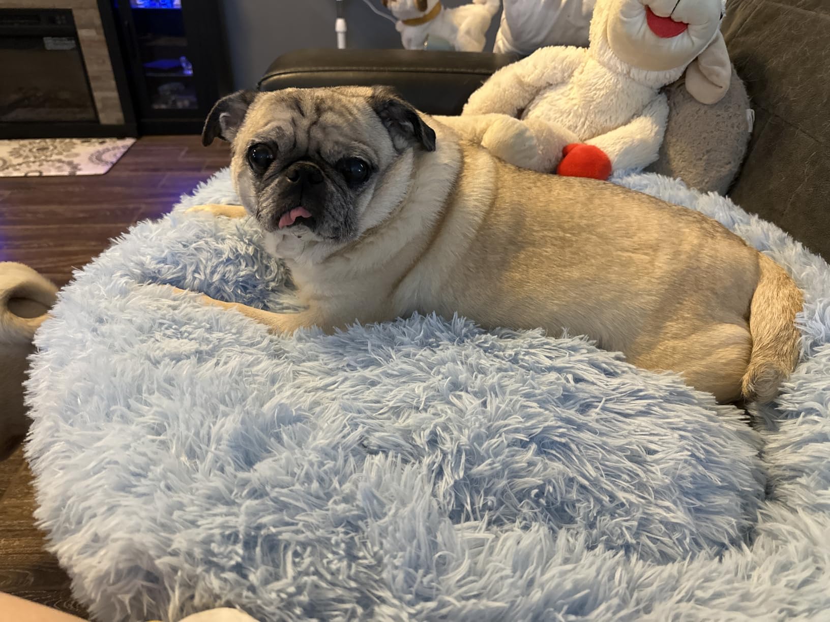 WESTERN HOME WH Calming Dog Bed & Cat Bed, Anti-Anxiety Donut Dog Cuddler Bed, Warming Cozy Soft Dog Round Bed, Fluffy Faux Fur Plush Dog Cat Cushion Bed for Small Medium Dogs and Cats customer photo 2