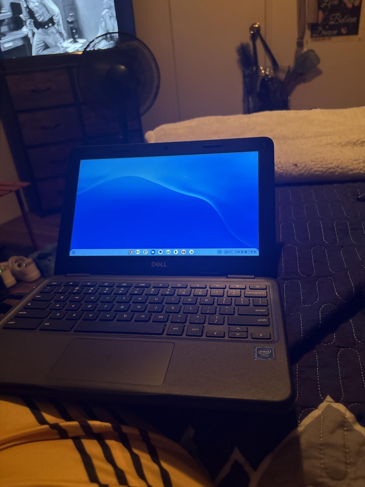Dell Chromebook 11 3100 11.6