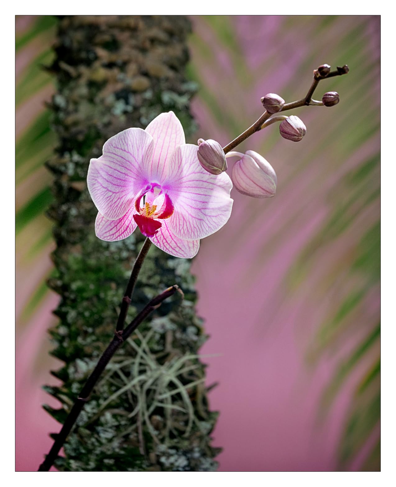 Fujifilm Fujinon XF70-300mmF4-5.6 LM OIS WR customer photo 1