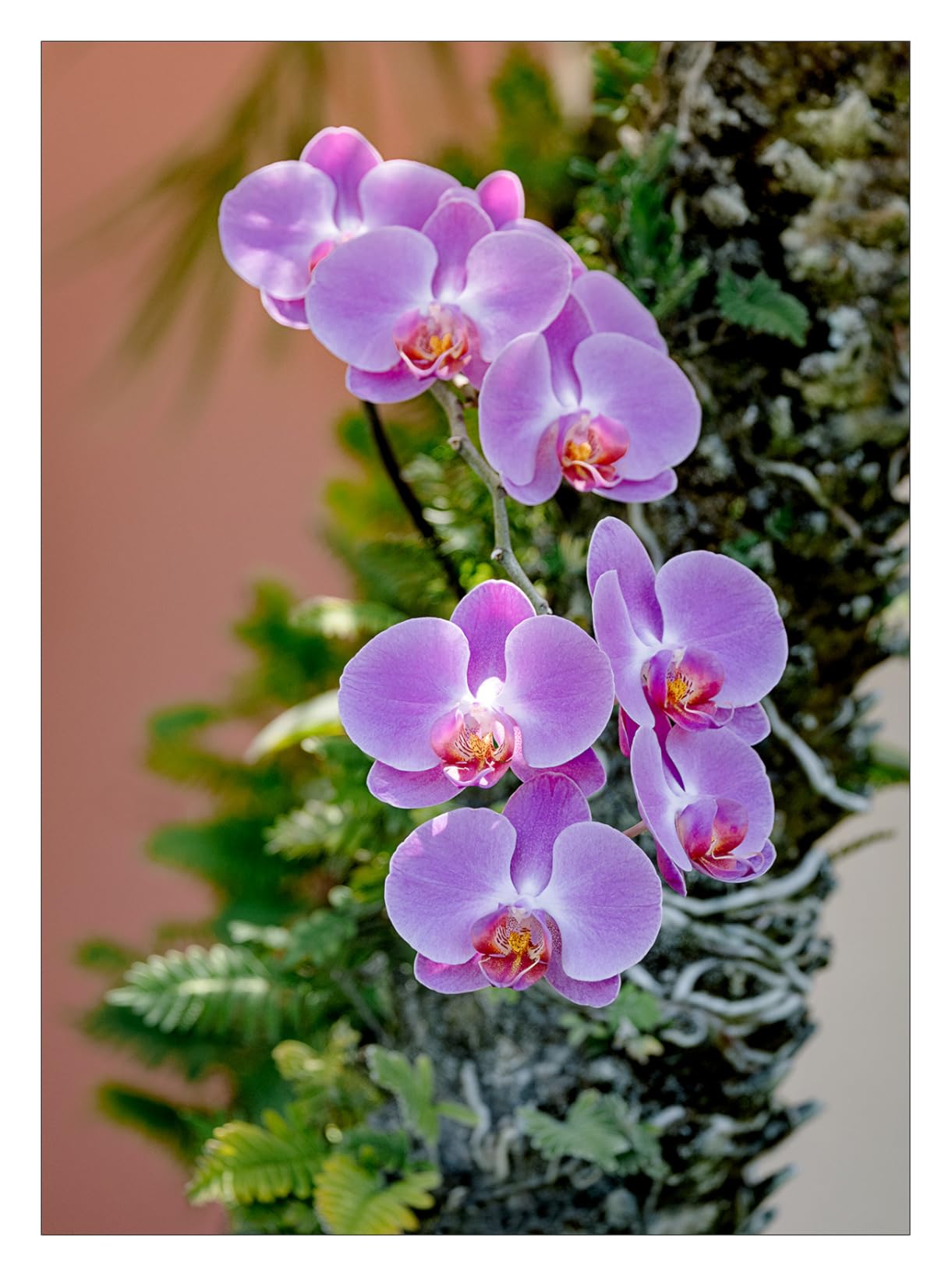 Fujifilm Fujinon XF70-300mmF4-5.6 LM OIS WR customer photo 2