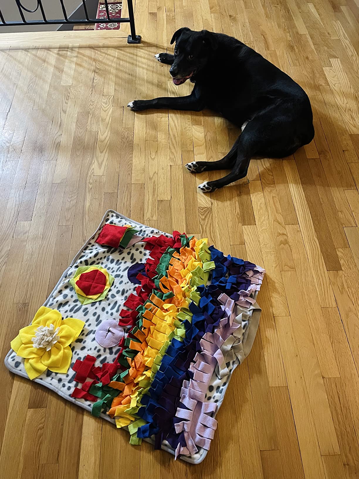 Snuffle Mat for Dogs, Interactive Foraging Puzzle Blanket, Nosework Feeding Bowl Sniffing Pad for Cats Puppies Small Medium Pets customer photo 1