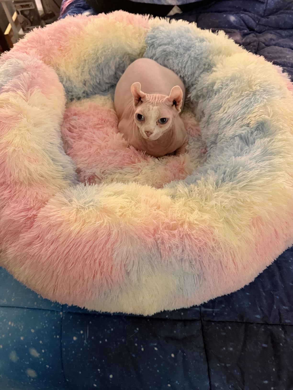 WNPETHOME Calming Dog Bed Cat Bed Donut, Faux Fur Pet Bed Self-Warming Donut Cuddler, Comfortable Round Plush Dog Beds (24 x 24 Inch, Light Grey) customer photo 1