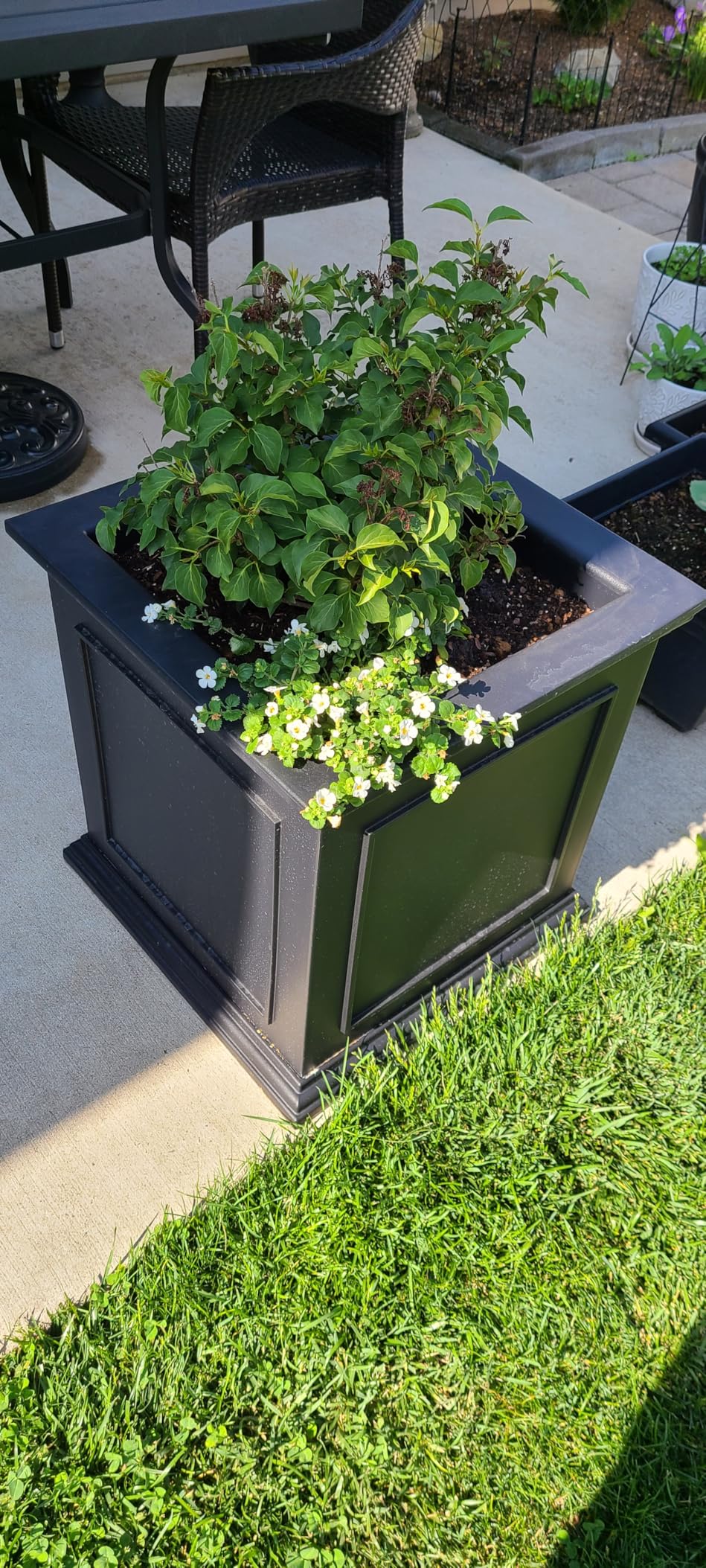 Veradek Brixton Series Cube Plastic Planter - Square Planter for Indoor or Outdoor Patio/Front Porch | Durable All-Weather Use w/Drainage Holes | Classic Estate Design for Flowers, Tall Plants, Trees customer photo 2