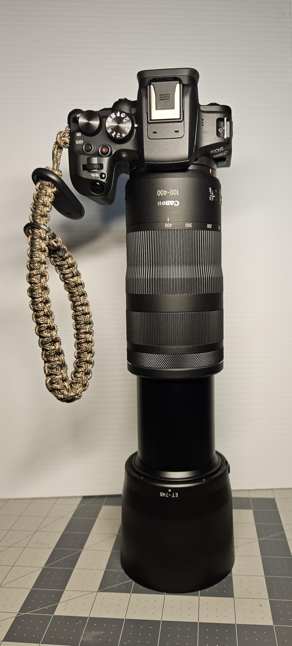 RF100-400mm F5.6-8 IS USM Telephoto Lens, Black customer photo 1