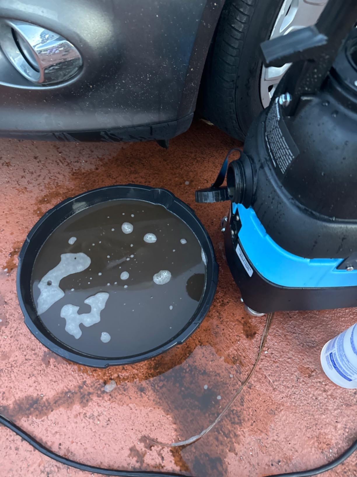 Mytee S300-H Tempo Heated Spotter - Heated Carpet Extractor customer photo 2