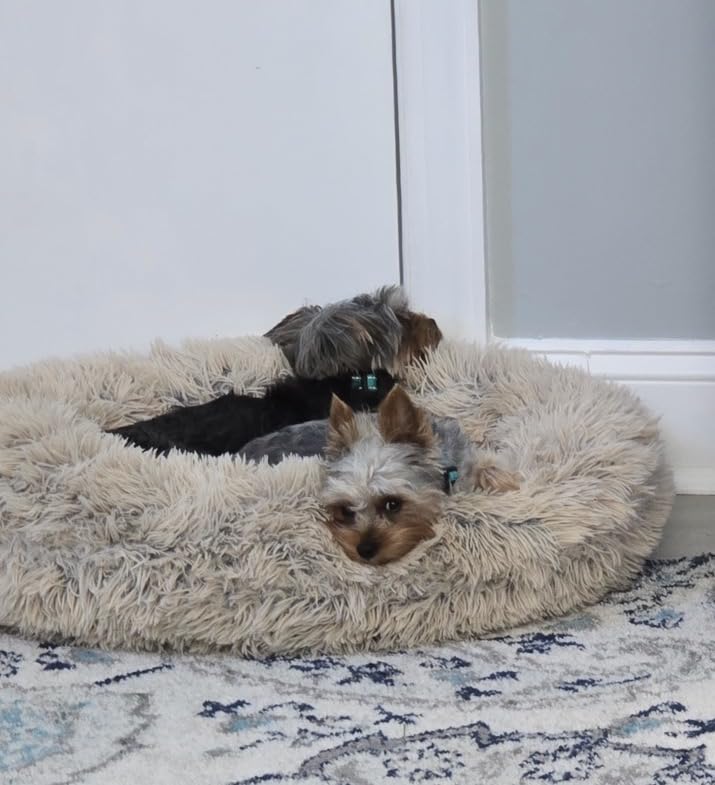 Best Friends by Sheri The Original Calming Donut Dog Bed for Medium Dogs up to 45 lbs, Lux Faux Fur, Mink Dark Gray, 30