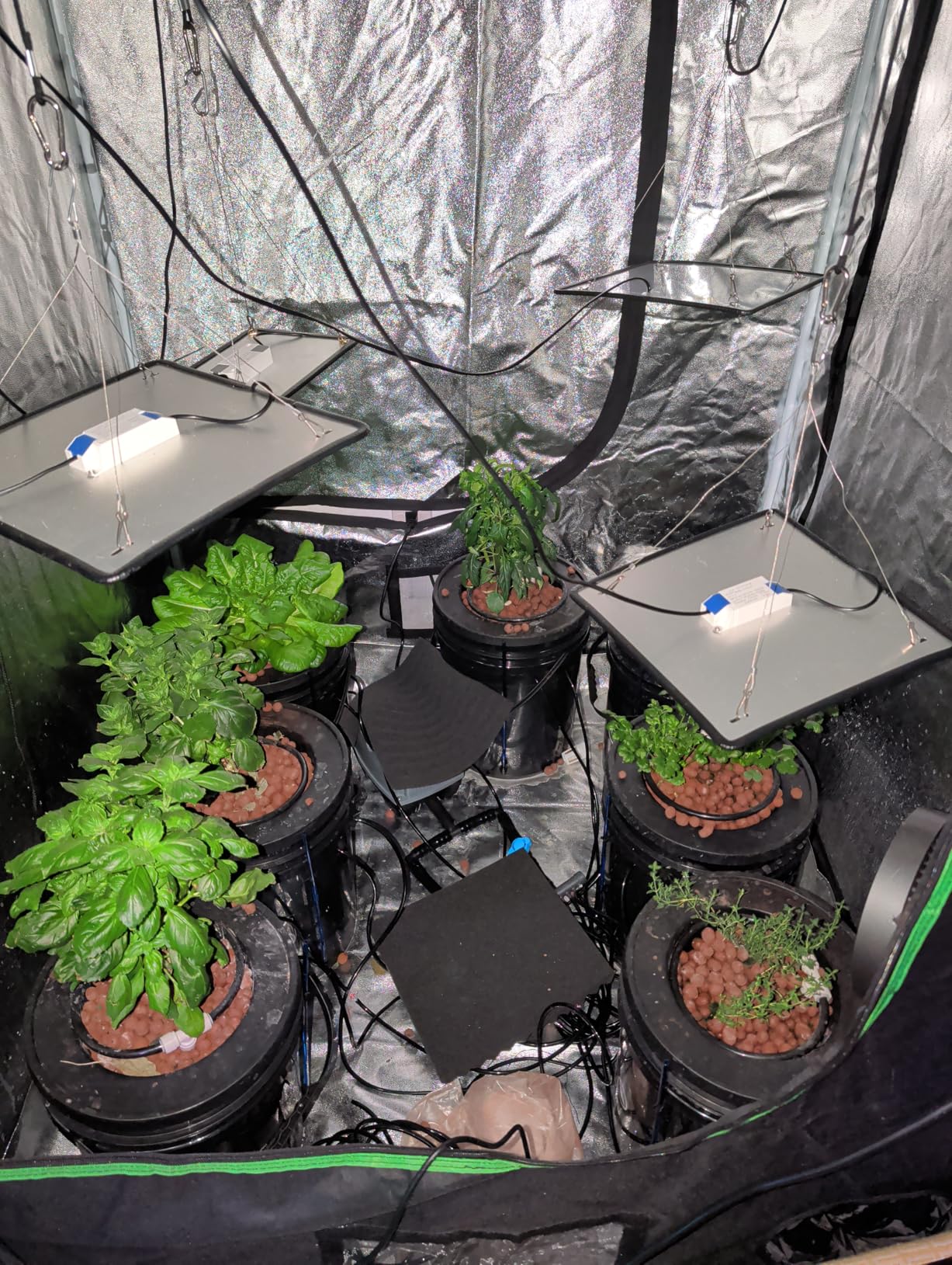 VIVOSUN DWC Hydroponics Grow System with Top Drip Kit, 5-Gallon Deep Water Culture, Recirculating Drip Garden System with Multi-Purpose Air Hose, Air Pump, and Air Stone (8 Buckets + Top Drip Kit) customer photo 1