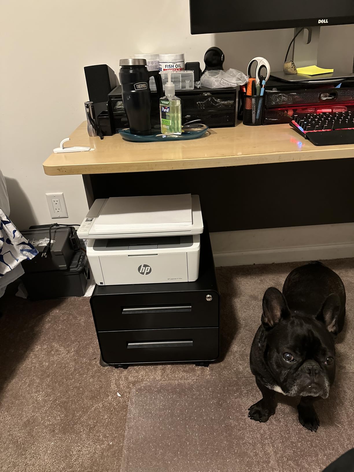 HP Laserjet MFP M140w Wireless Black & White Printer, Print, Scan, Copy, Fast speeds, Easy Setup, Mobile Printing, Best-for-Small Teams customer photo 2