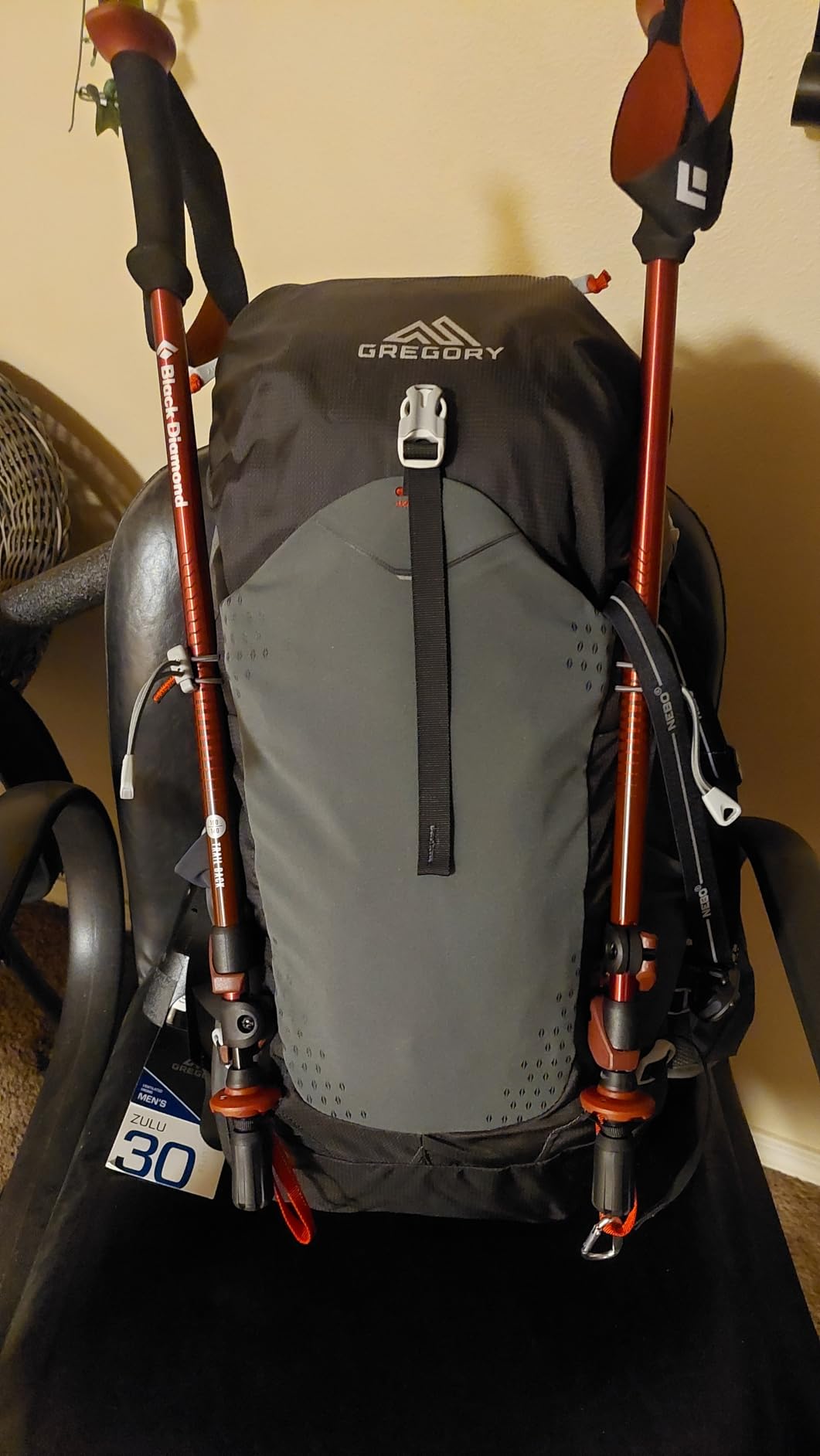 Black Diamond Trail Back Trekking Poles (Pair) | Durable Aluminum | FlickLock Adjustability | Comfortable Grips for Hiking & Backpacking customer photo 1