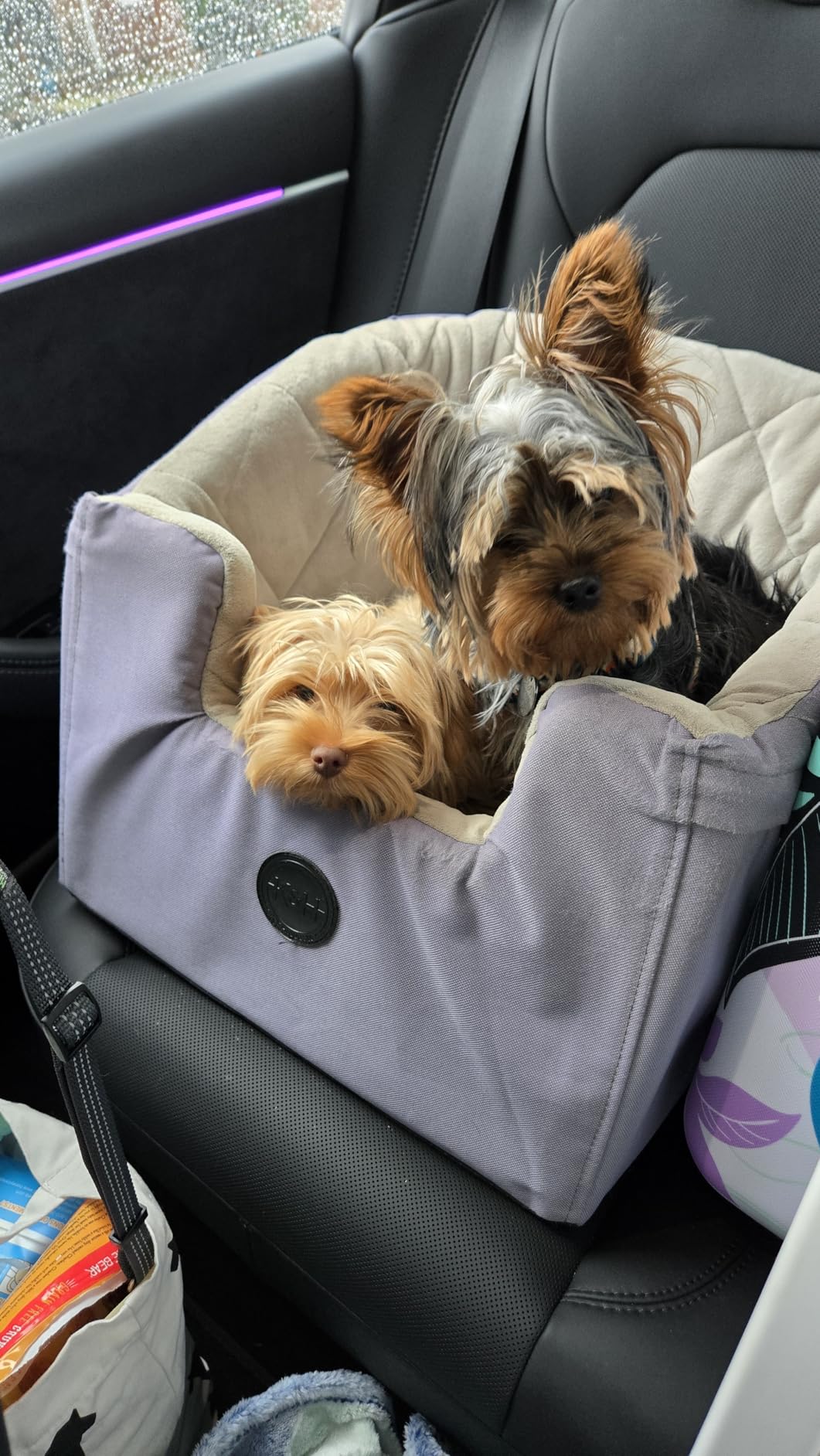 K&H Pet Products Bucket Booster Dog Car Seat for Small Dogs, Seat Belt Secured, 2 Safety Leashes, Washable Covers, Sturdy Pet Booster Seats for Traveling with Pets - Small Black/Cream customer photo 2