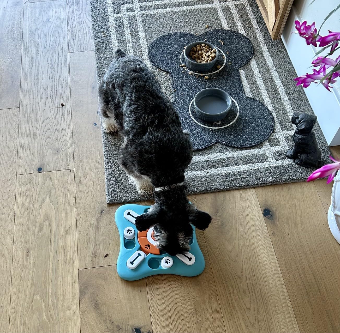 FOXMM Interactive Dog Treat Puzzle Toys for IQ Training & Mental Stimulating, Fun Slow Feeder, Large Medium Small Dogs Enrichment Toys with Squeak Design customer photo 1