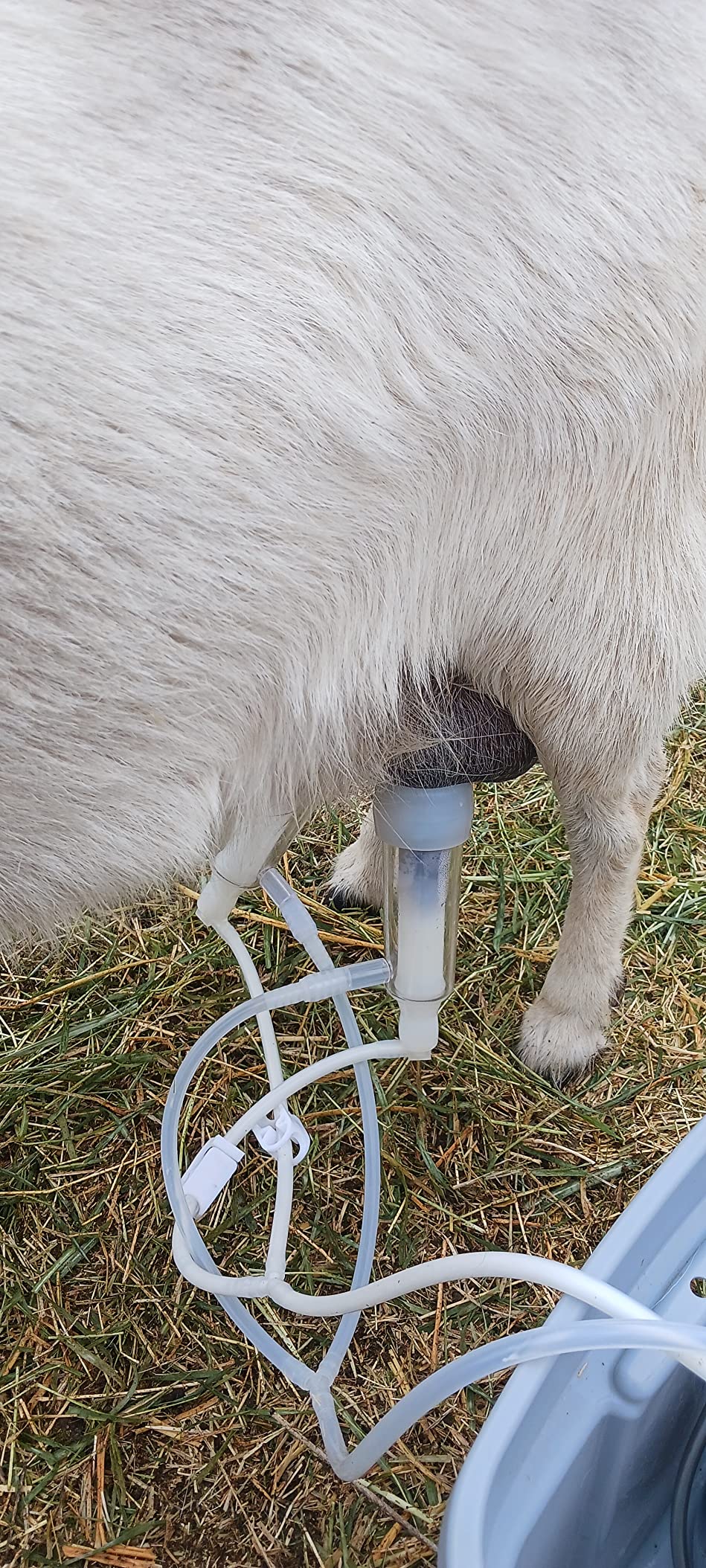 3L Goat Milking Machine,Rechargeable Battery Milker Powered Pulsation Vacuum Pump with 2 Teat Cups,Stainless Steel Buckets for Goats(13200mAh Battery) customer photo 1