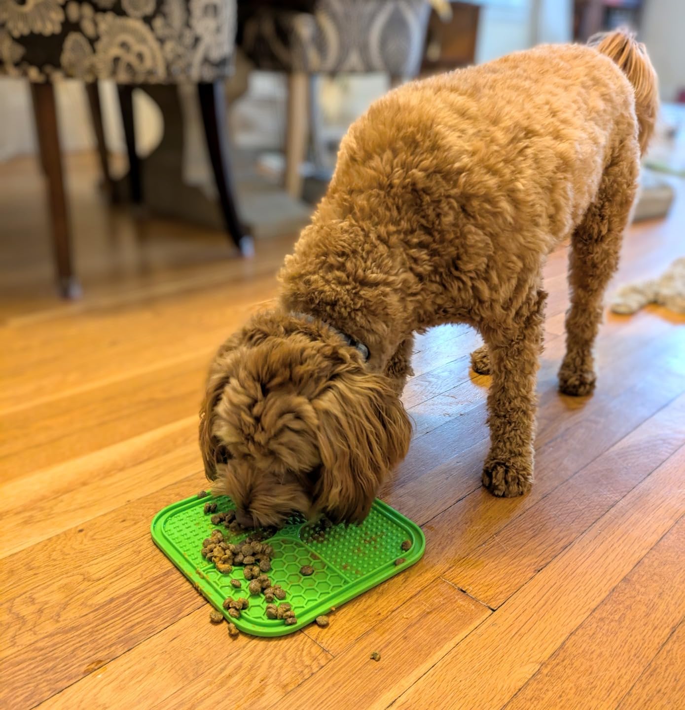 Honomastry Lick Mat for Dogs, Premium Lick Pad with Suction Cups for Dog Anxiety Relief, Slow Feeder Dog Bowls, Bathing, Grooming and Training. customer photo 1