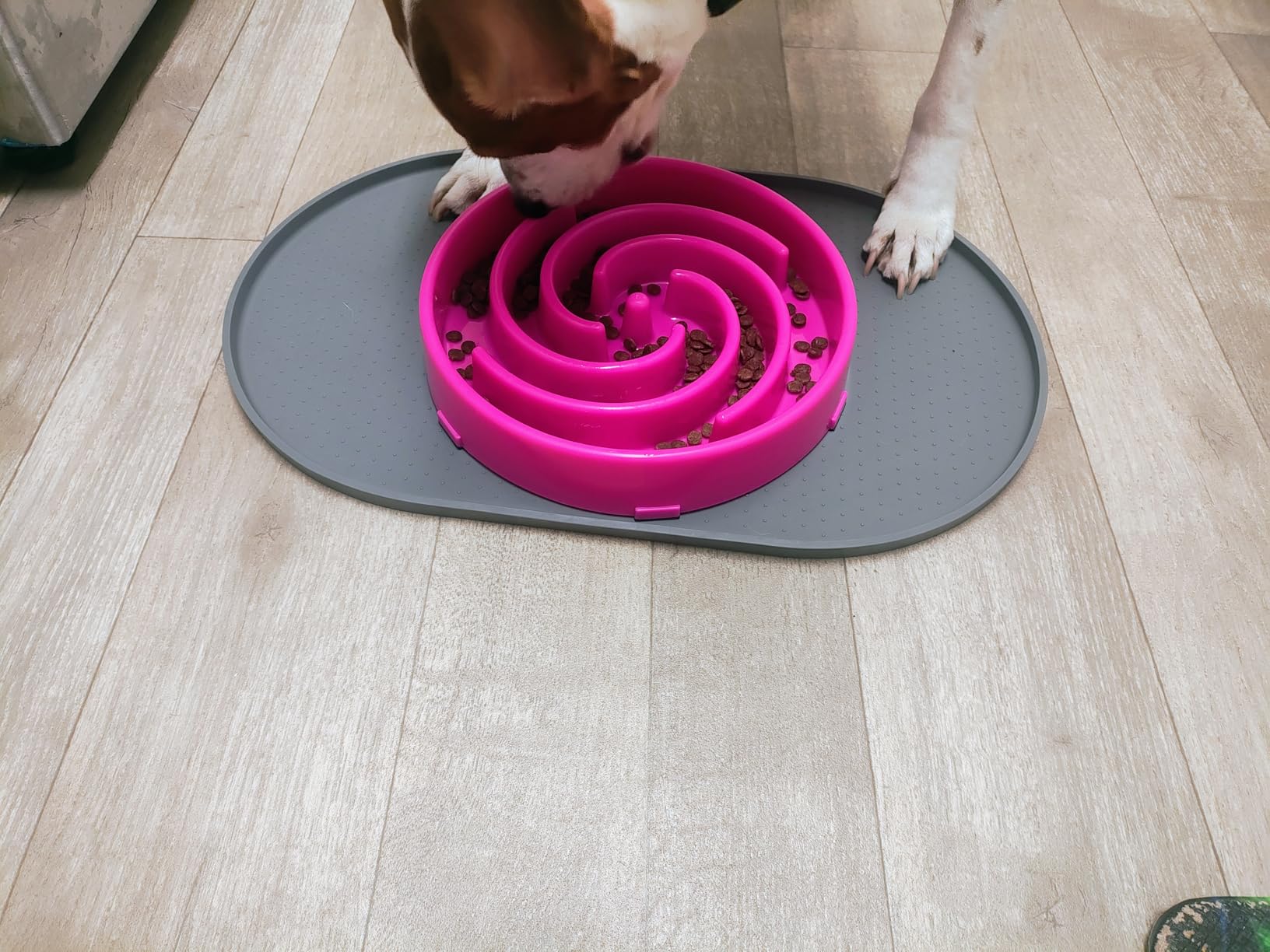 JASGOOD Slow Feeder Dogs Bowl for Large Medium Dogs,Anti-Gulping Pet Slower Food Feeding Bowls Stop Bloat,Preventing Choking customer photo 2