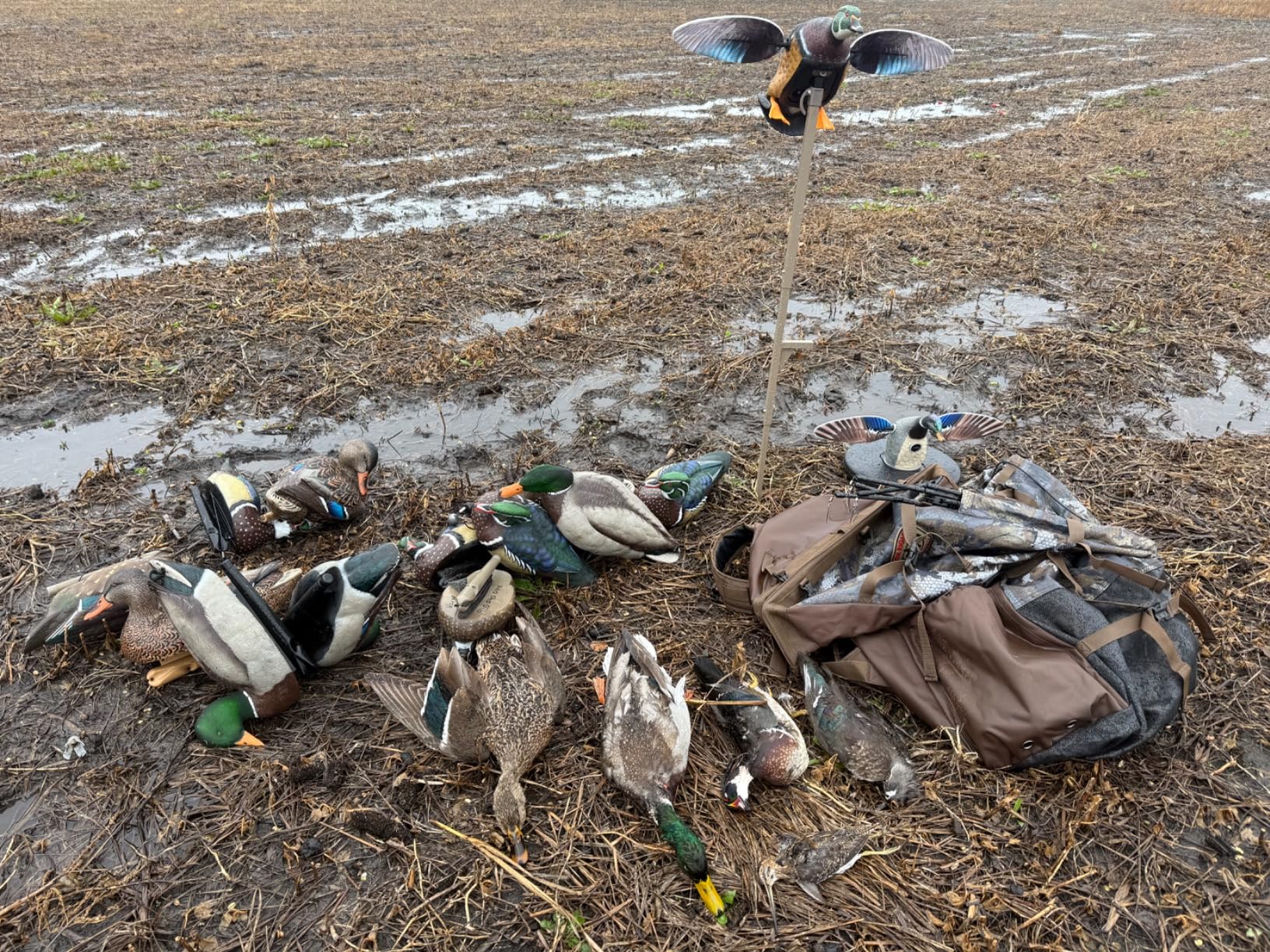MOJO Outdoors - Premium Waterfowl and Duck Hunting Decoys customer photo 1