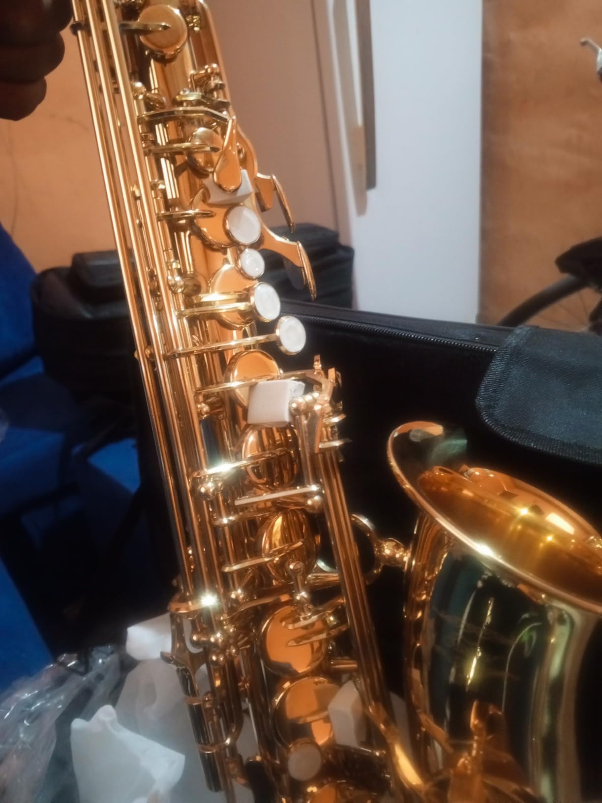 Eastar Upgraded Alto Saxophone E Flat for Beginner Students Brass Sax Full Kit, EAX-21 customer photo 2