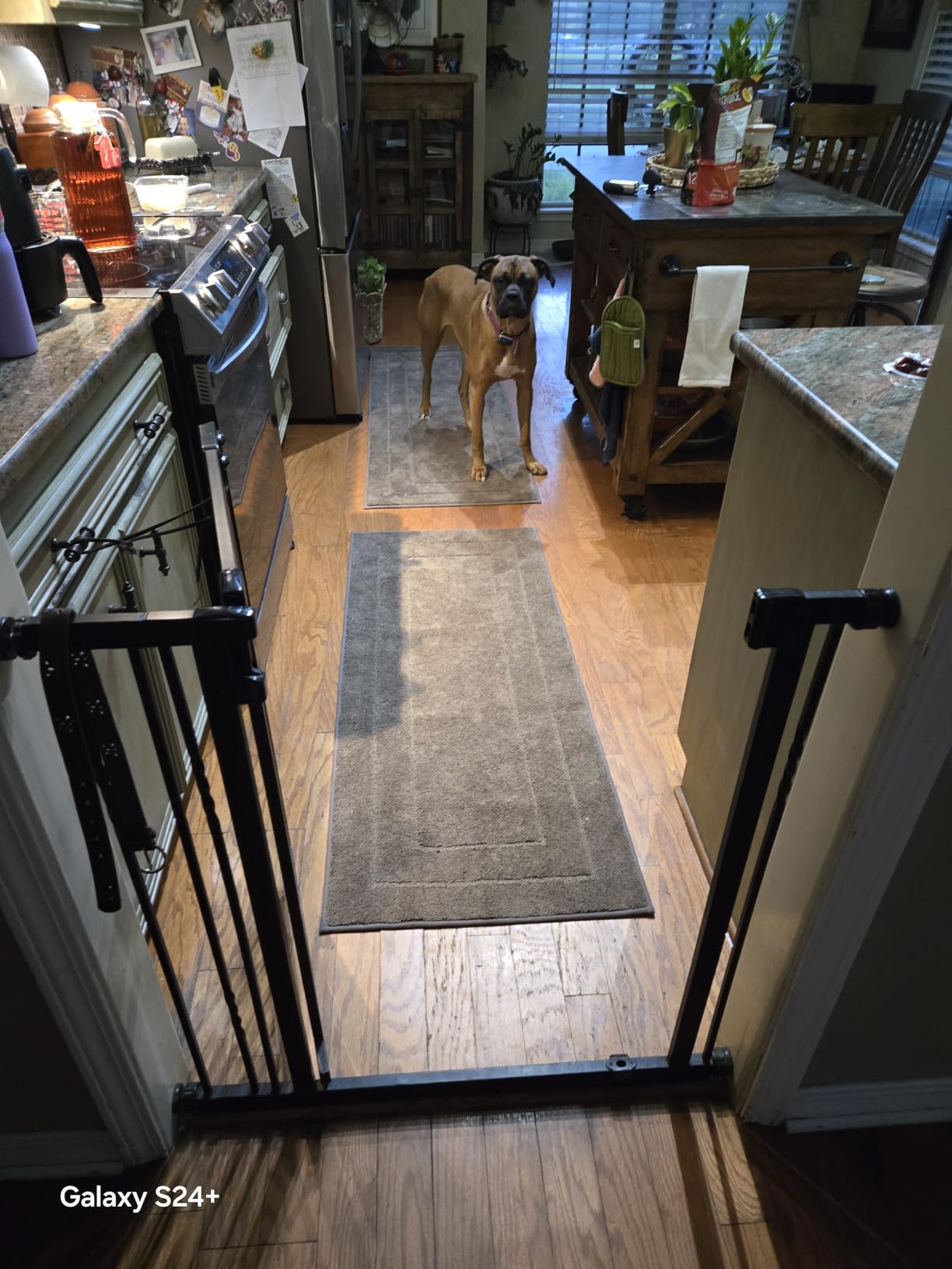 PURRUGS Machine Washable Kitchen Runner Rug 24