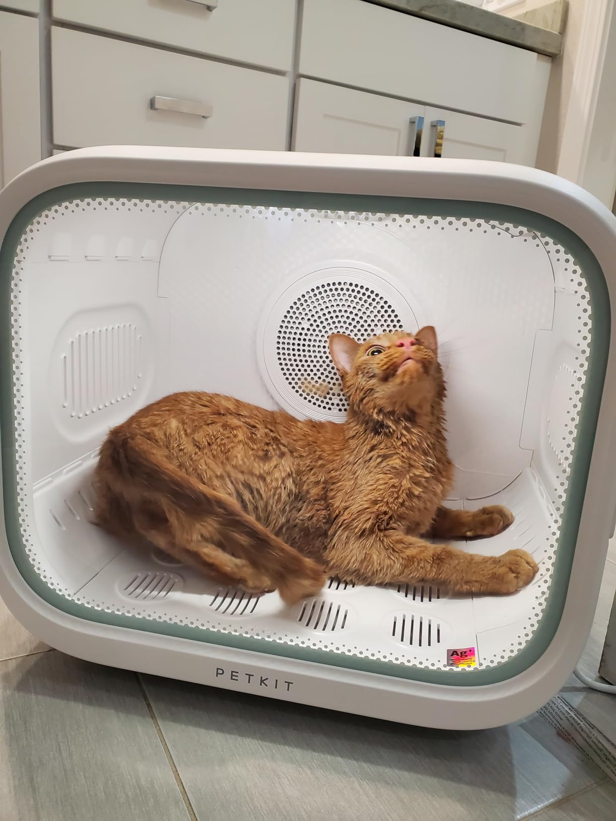 PETKIT AIRSALON MAX Automatic Pet Hair Drying Box for Cat Puppy Kitten, Ultra Quiet Hair Dryer for Small Dog Grooming, 60L Large Capacity/Smart Temperature Control via App and Touch Panel customer photo 2