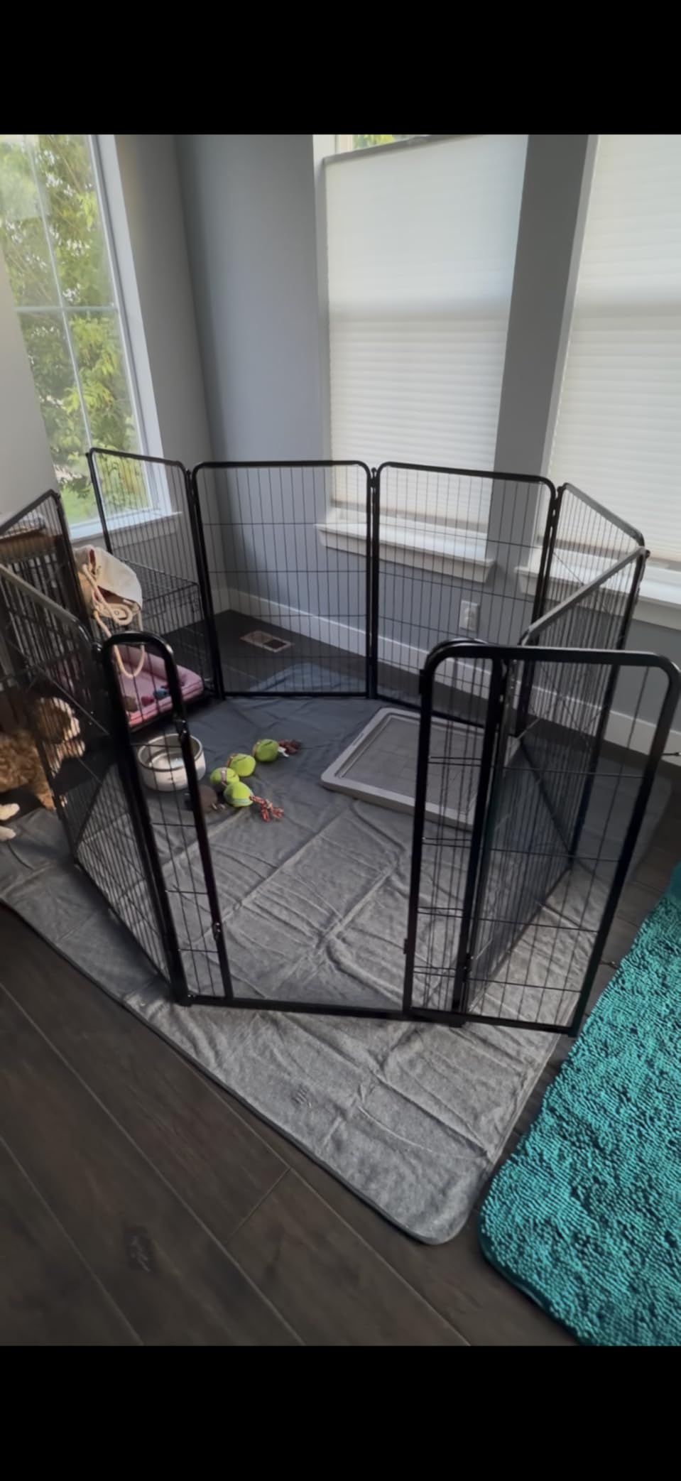 FXW Homeplus Unleashed Indoor Dog Playpen - Stress-Free and Safe Play, Heavy Duty 24 Inch 8 Panels Dog Pen for Puppy and Small Dogs, Black|Patented customer photo 1