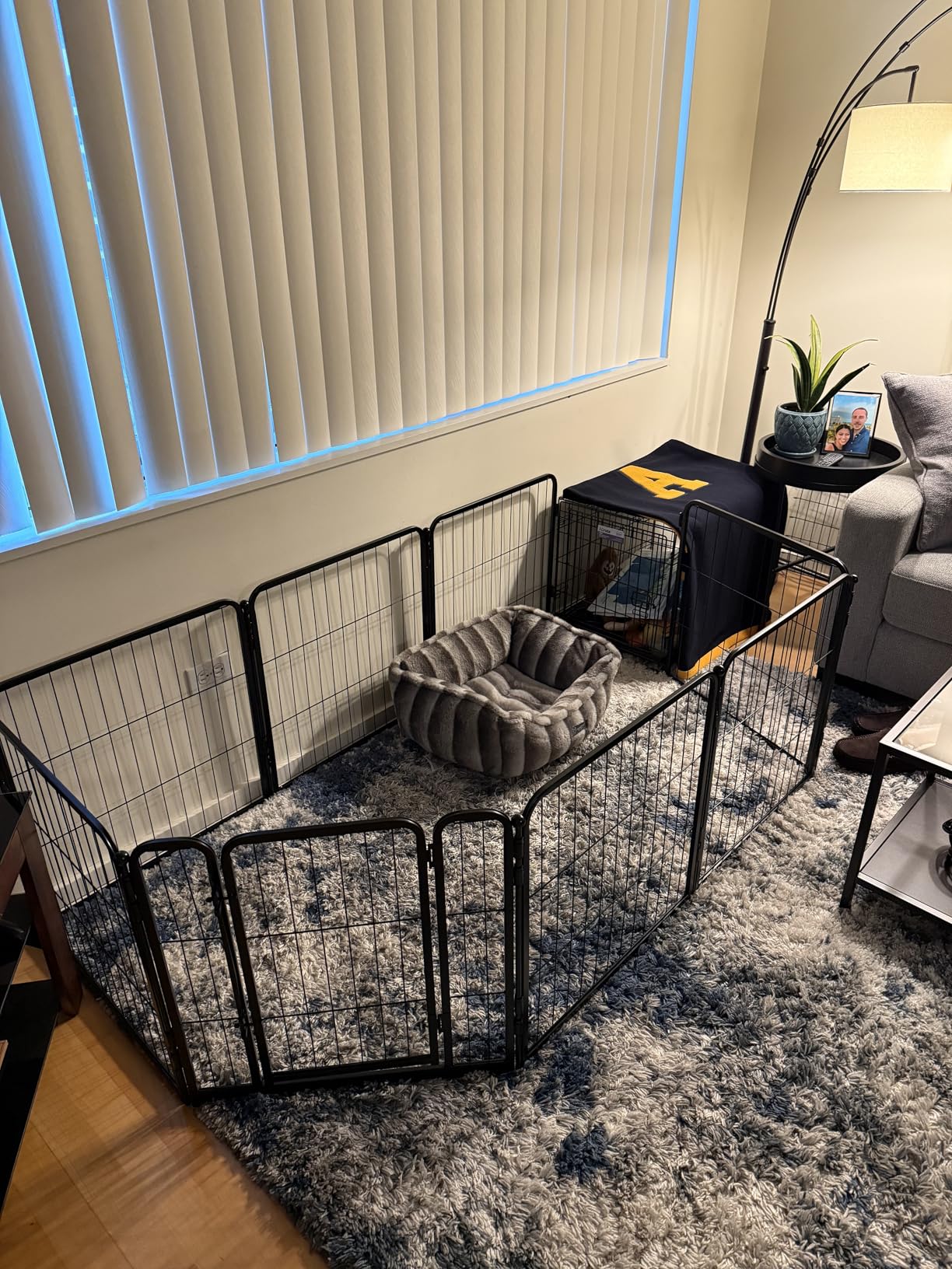 FXW Homeplus Unleashed Indoor Dog Playpen - Stress-Free and Safe Play, Heavy Duty 24 Inch 8 Panels Dog Pen for Puppy and Small Dogs, Black|Patented customer photo 2
