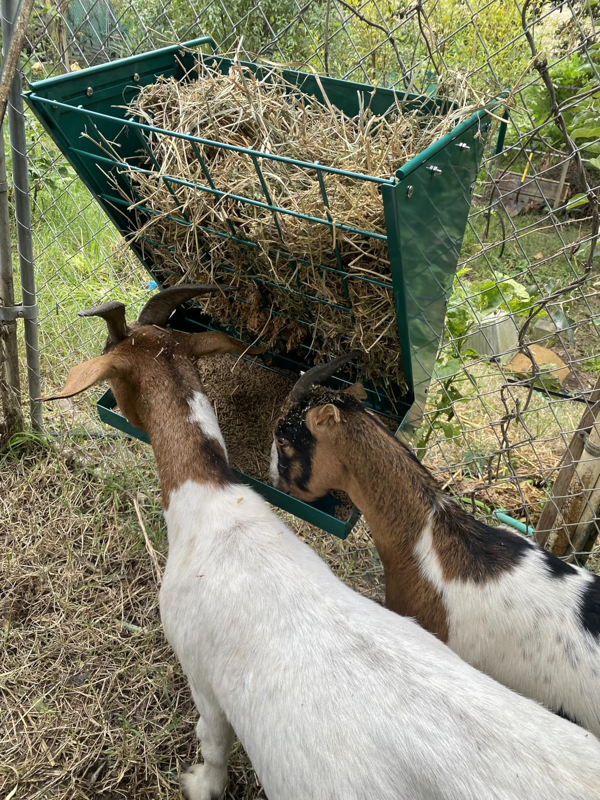 Wall Mount Hay Rack, Heavy-Duty Galvanized Metal 2 in 1 Hay and Grain Feeder, Livestock Feeder with Adjustable Distance, Hay Feeder for Goats, Sheep, Horse customer photo 2